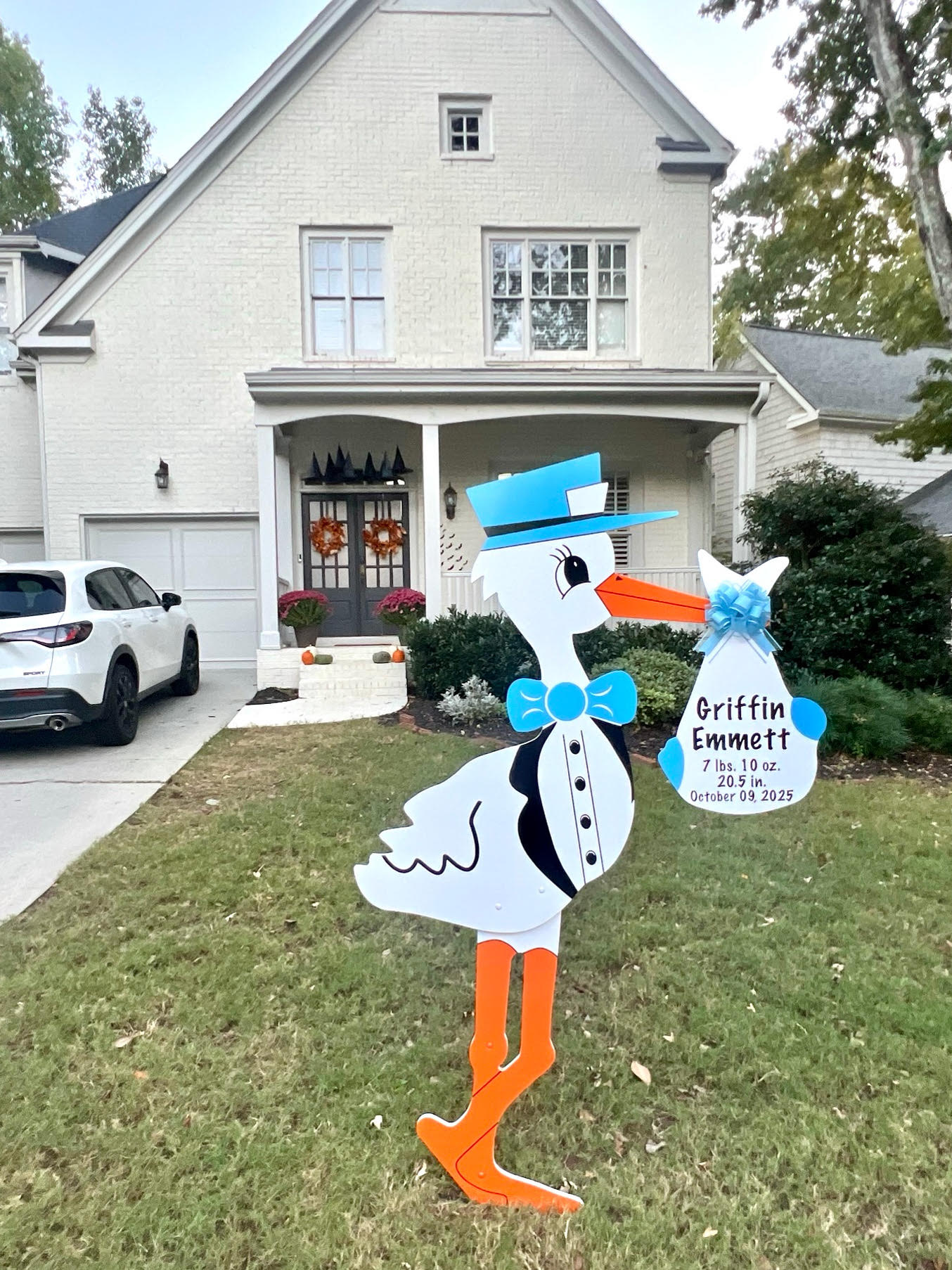 Birth Announcement Stork Sign in Midtown, Atlanta GA