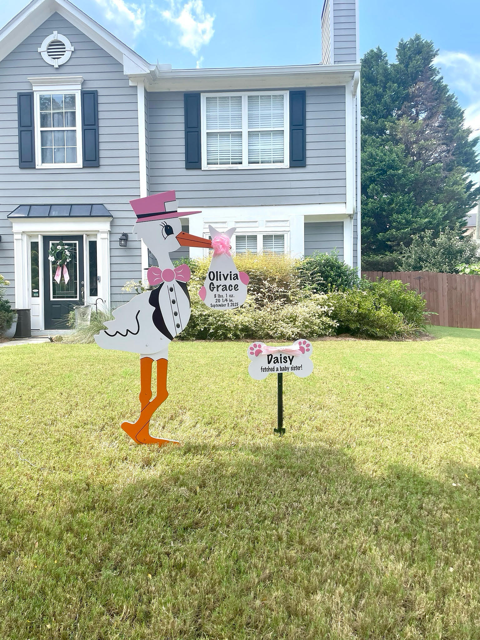 Birth Announcement Stork Sign in Alpharetta, GA