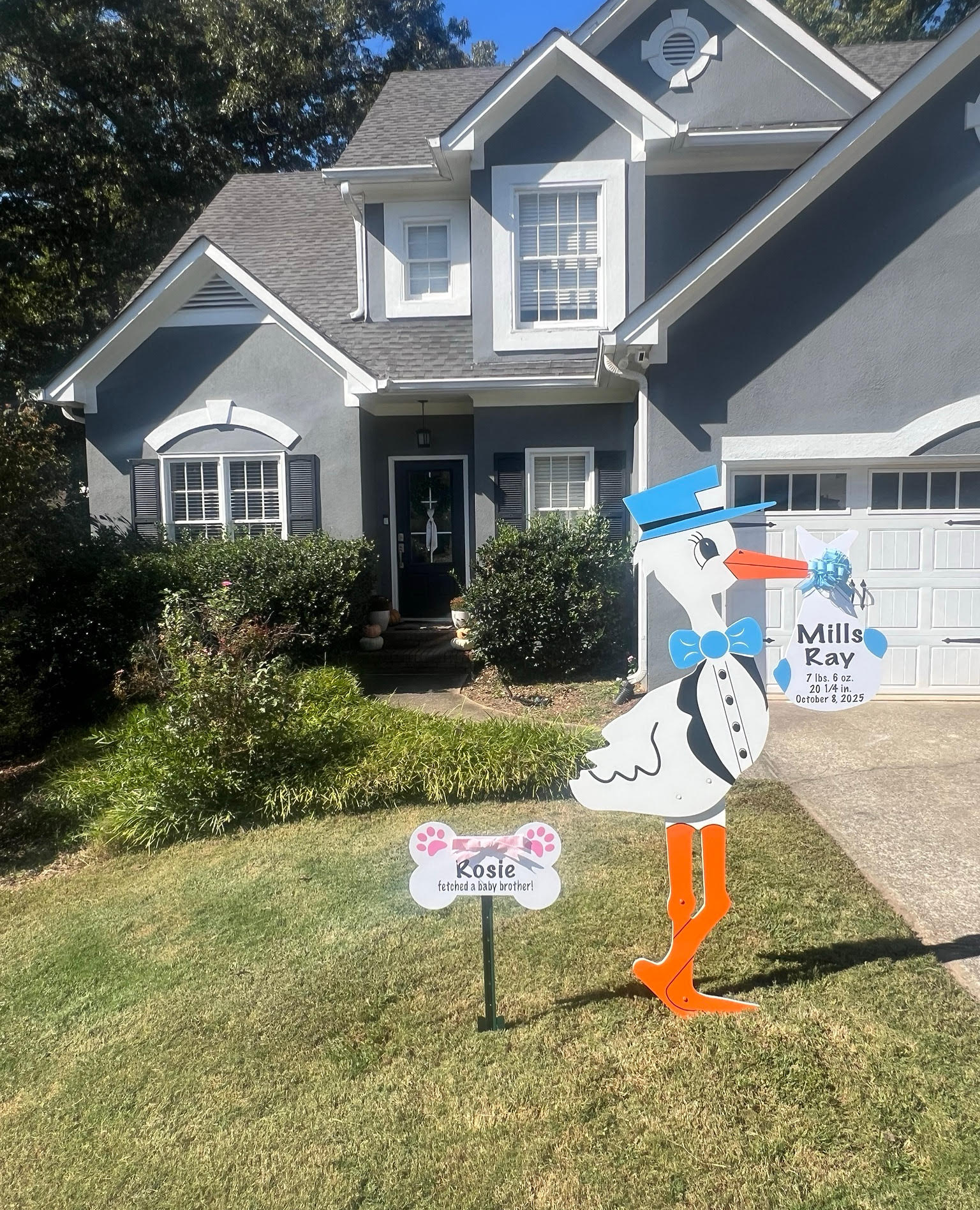 Birth Announcement Stork Sign in Roswell, GA