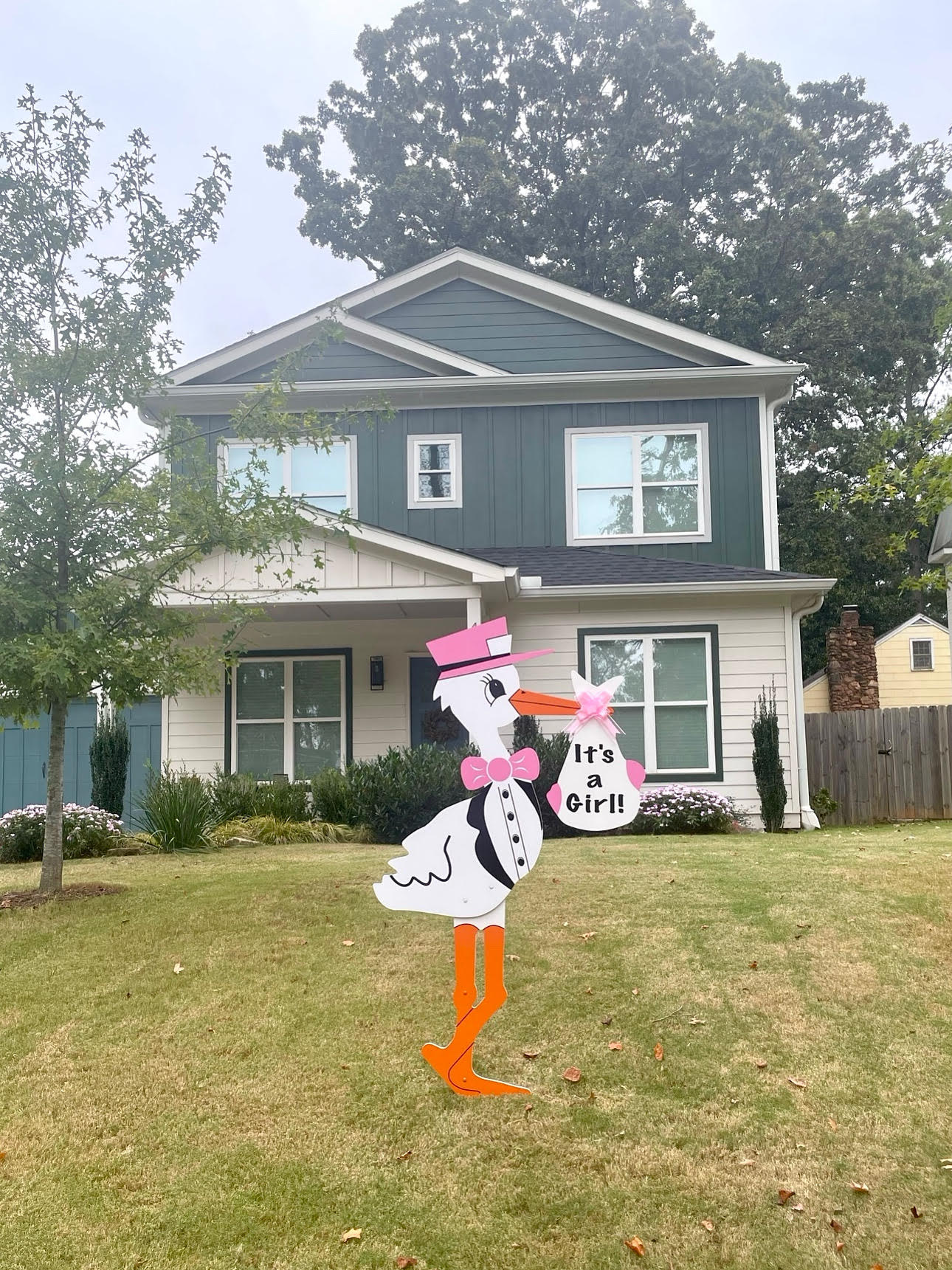 Birth Announcement Stork Sign in Decatur, GA