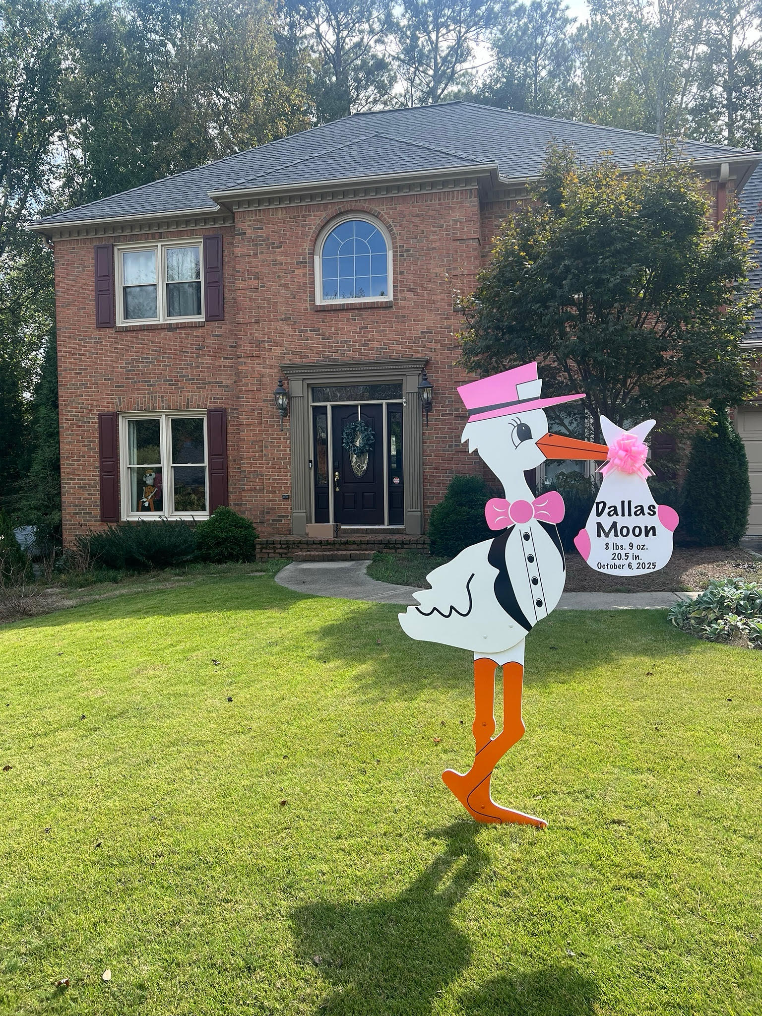 Birth Announcement Stork Sign in Sandy Springs, GA