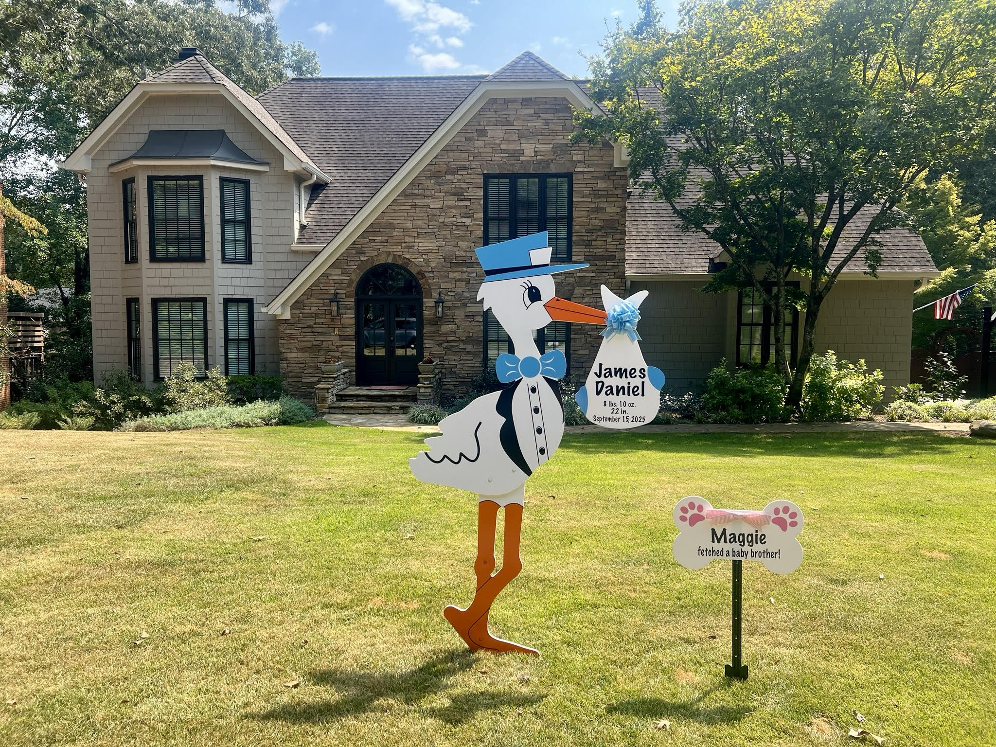 Birth Announcement Stork Sign in Marietta, GA