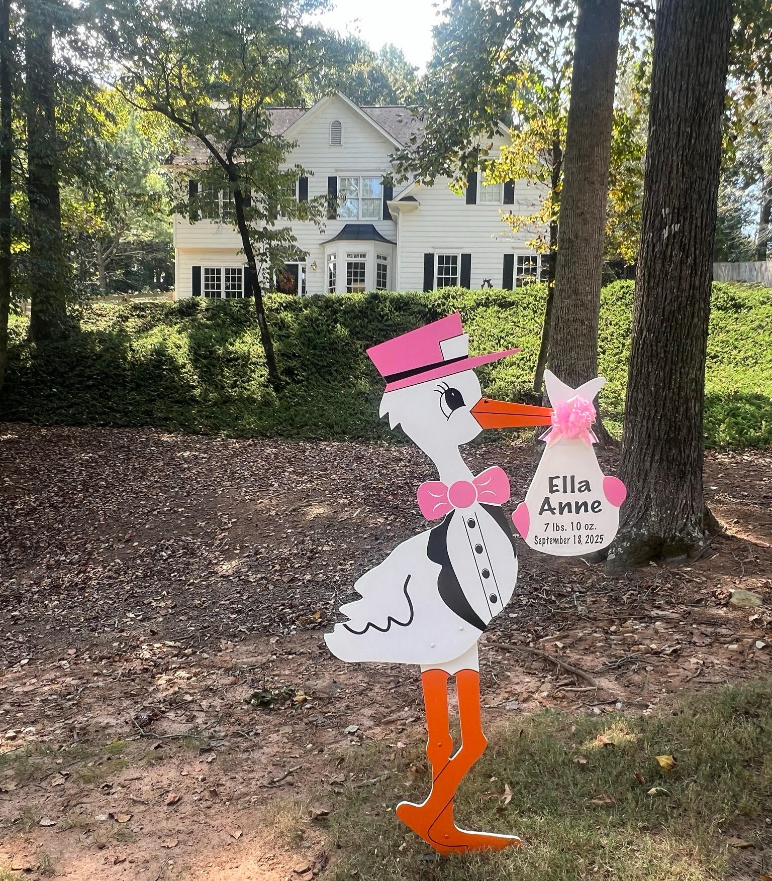 Birth Announcement Stork Sign in Cumming, GA