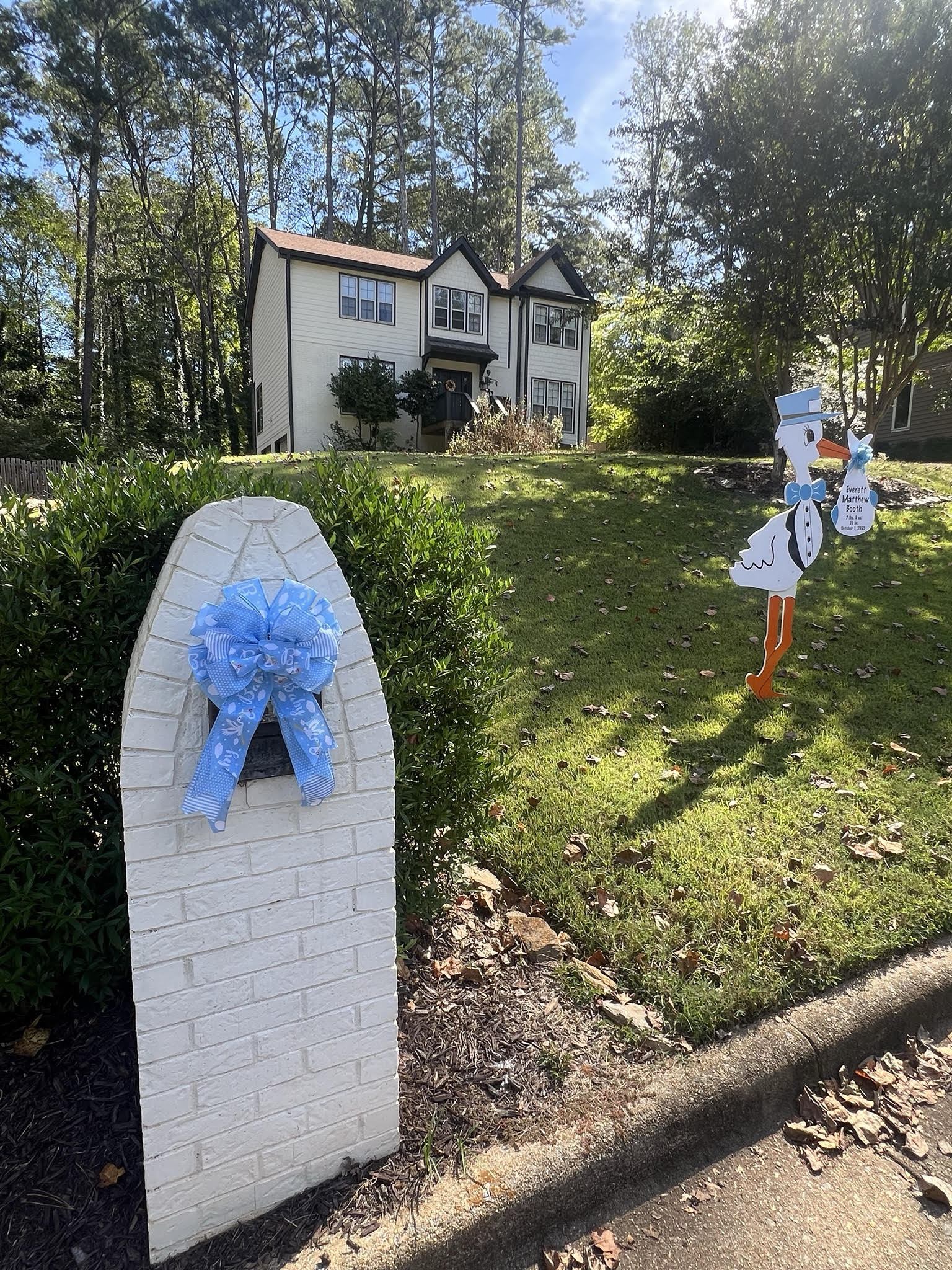 Birth Announcement Stork Sign in Roswell, GA