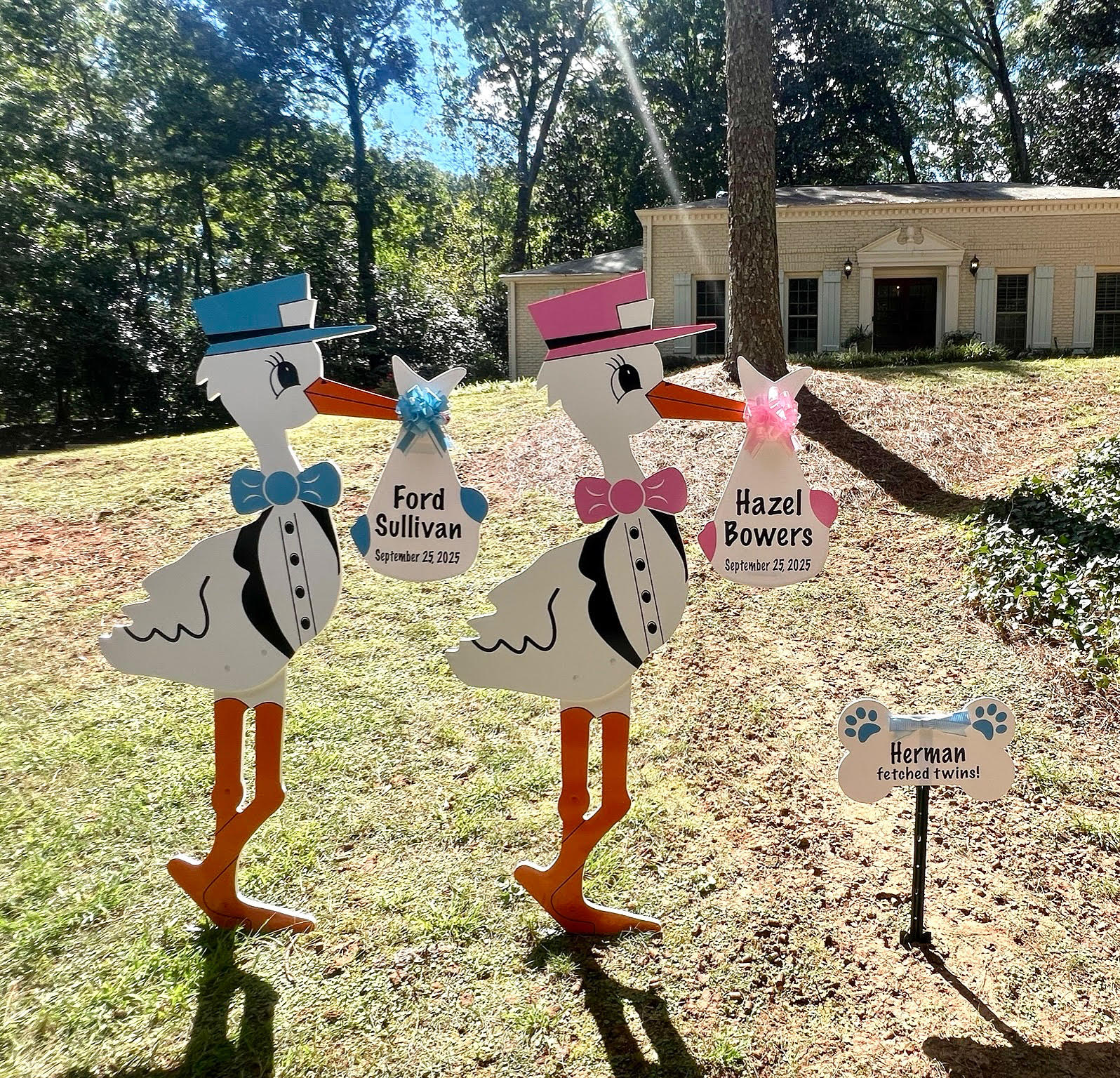 Twin Birth Announcement Stork Sign in Inman Park, Atlanta