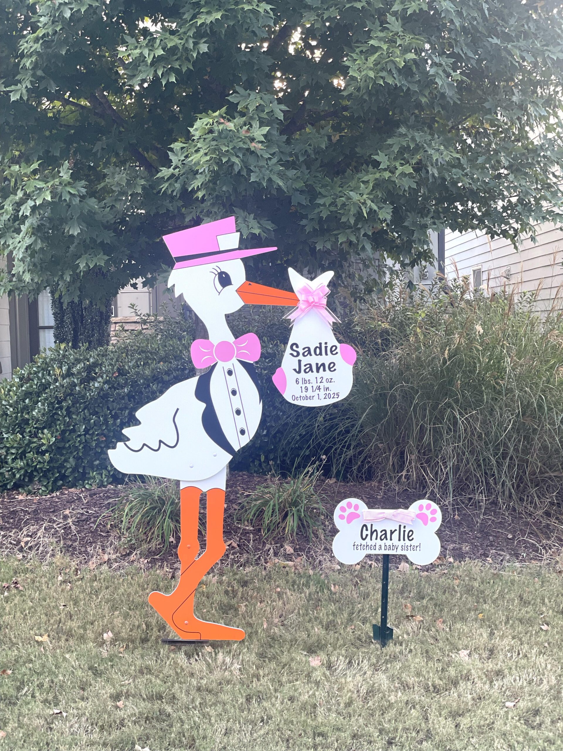 Birth Announcement Stork Sign in Midtown, Atlanta