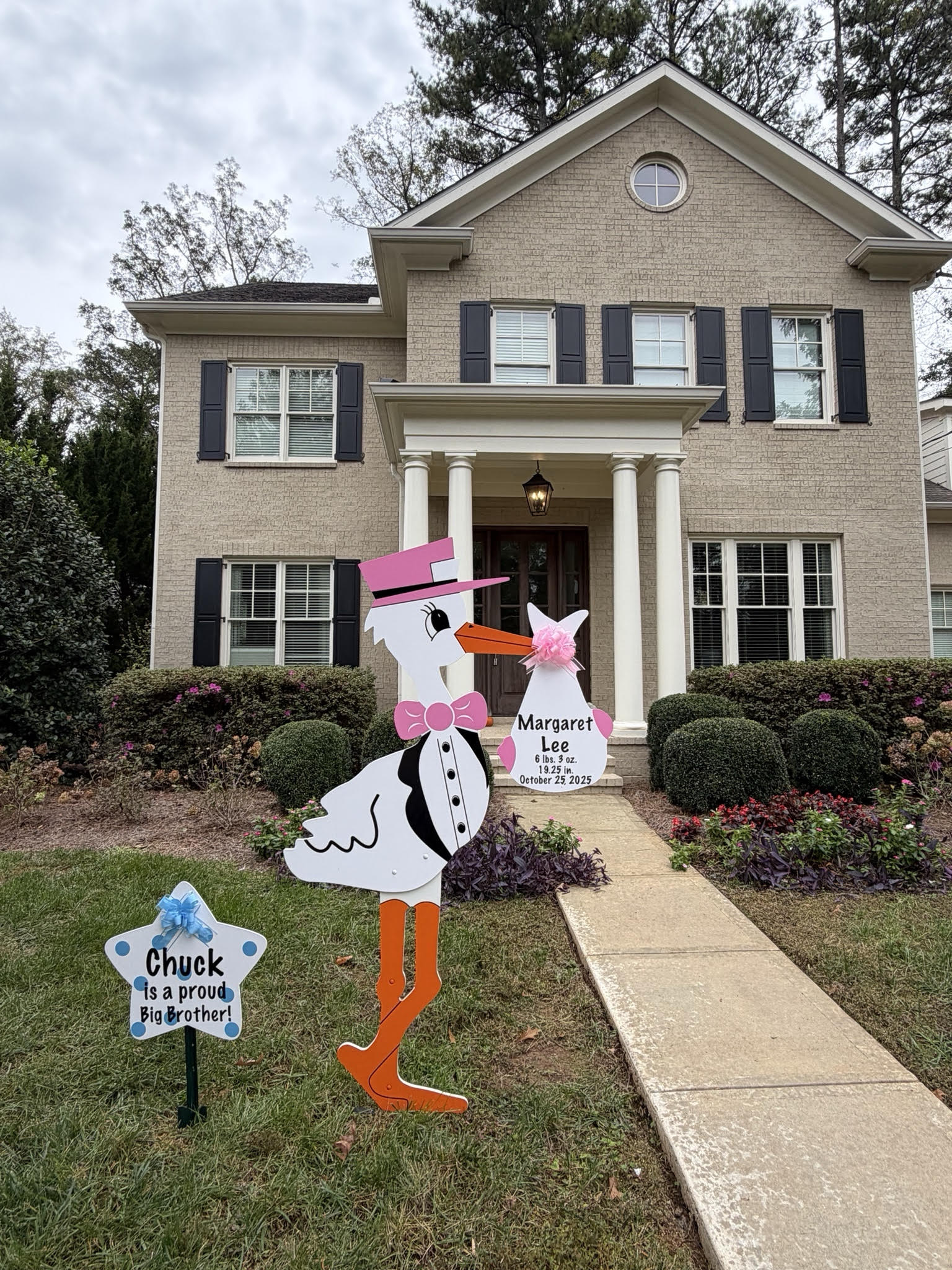 Birth Announcement Stork Sign in Brookhaven, GA