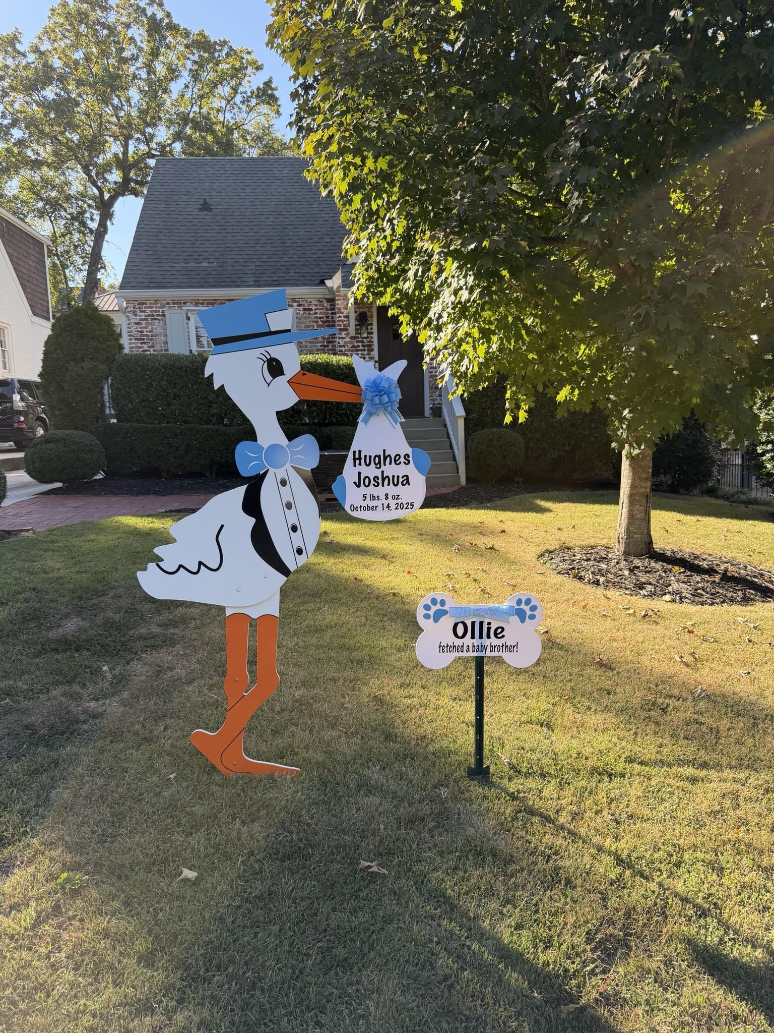 Birth Announcement Stork Sign in Grant Park, Atlanta