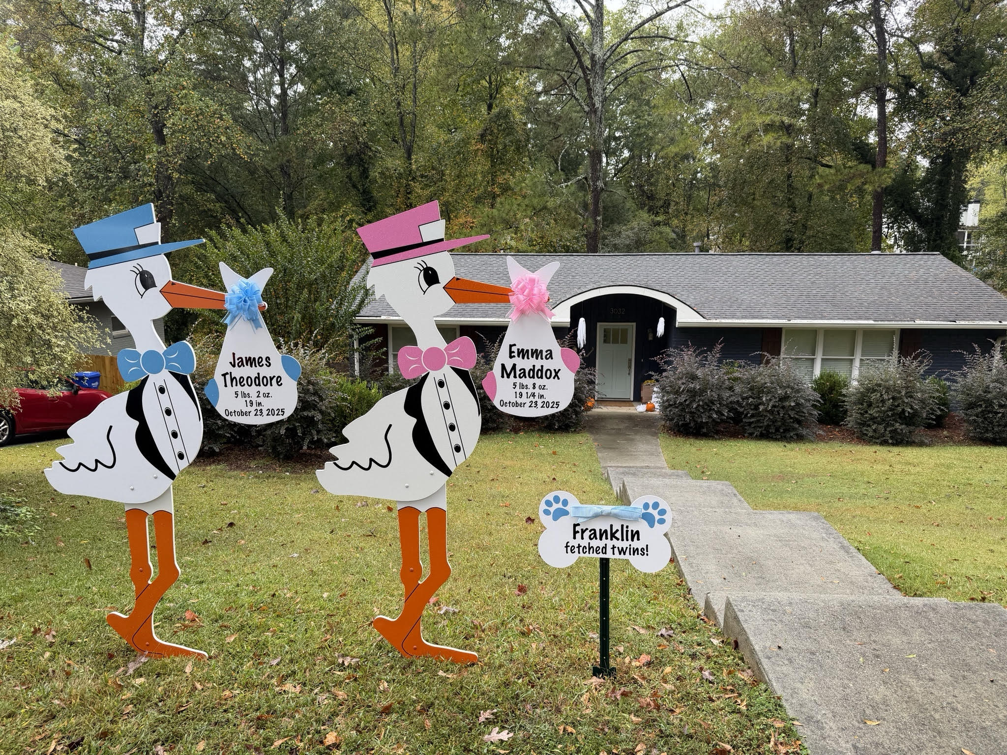 Birth Announcement Stork Sign in Chamblee, GA