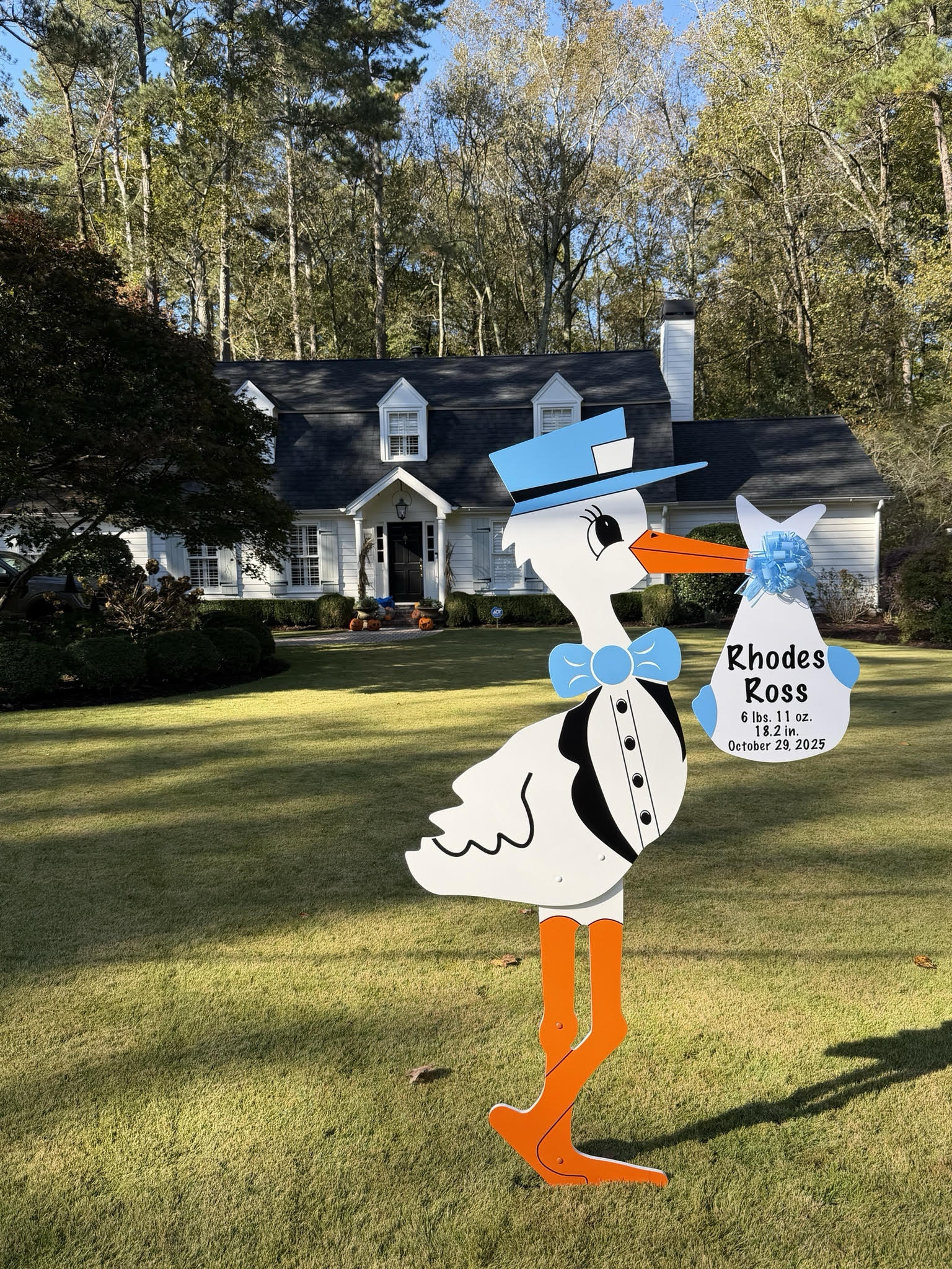 Birth Announcement Stork Sign in Sandy Springs, GA