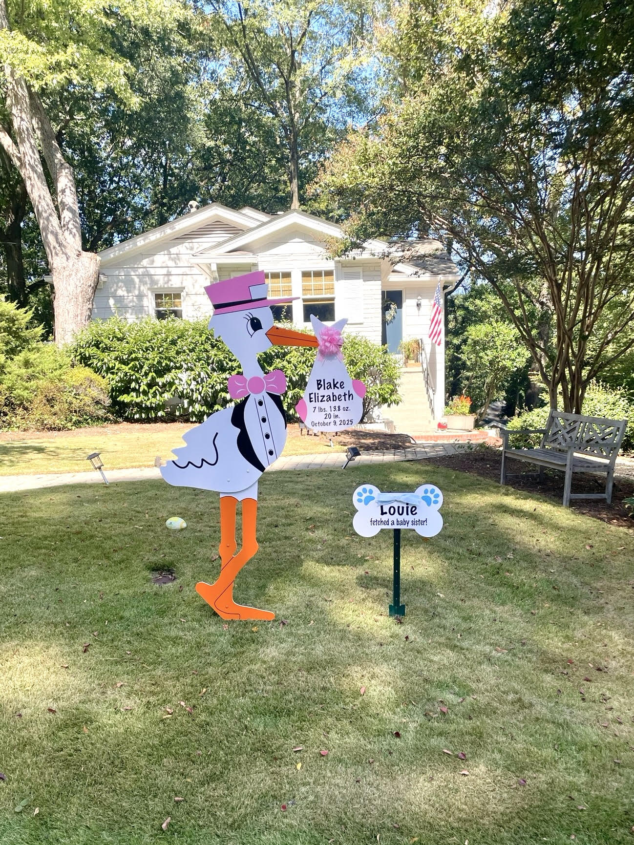 Birth Announcement Stork Sign in Midtown, Atlanta