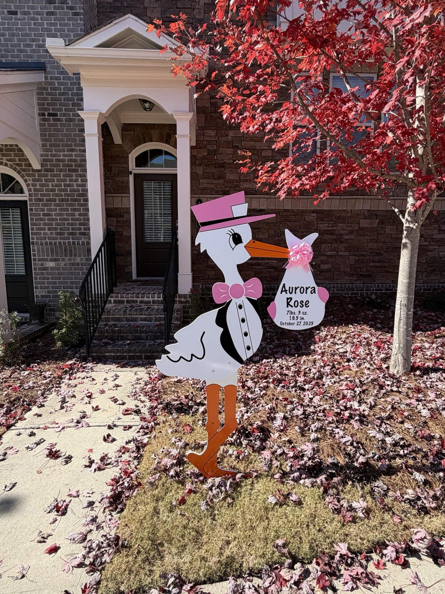 Birth Announcement Stork Sign in Roswell, GA