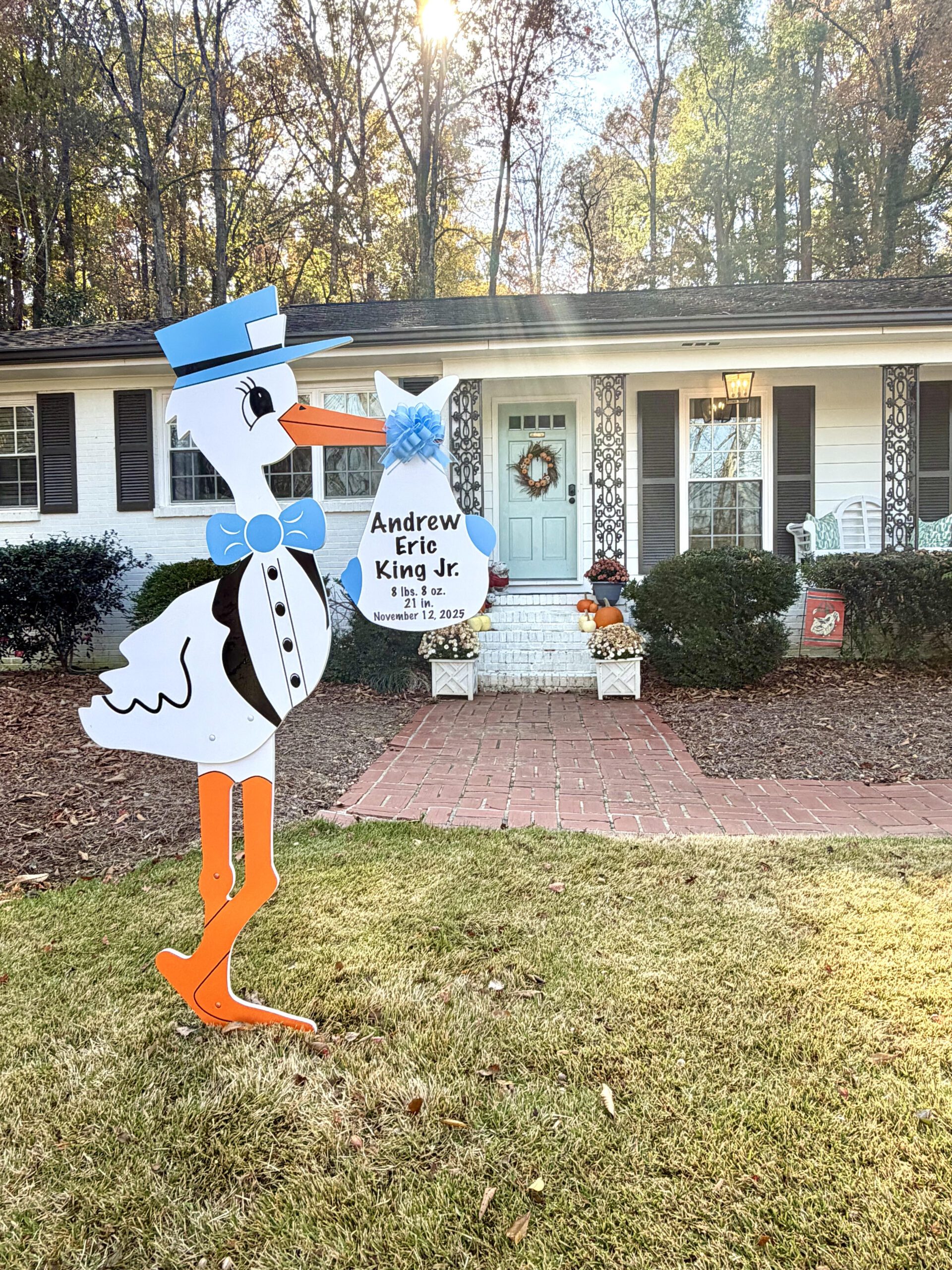 Birth Announcement Stork Sign in Sandy Springs, GA