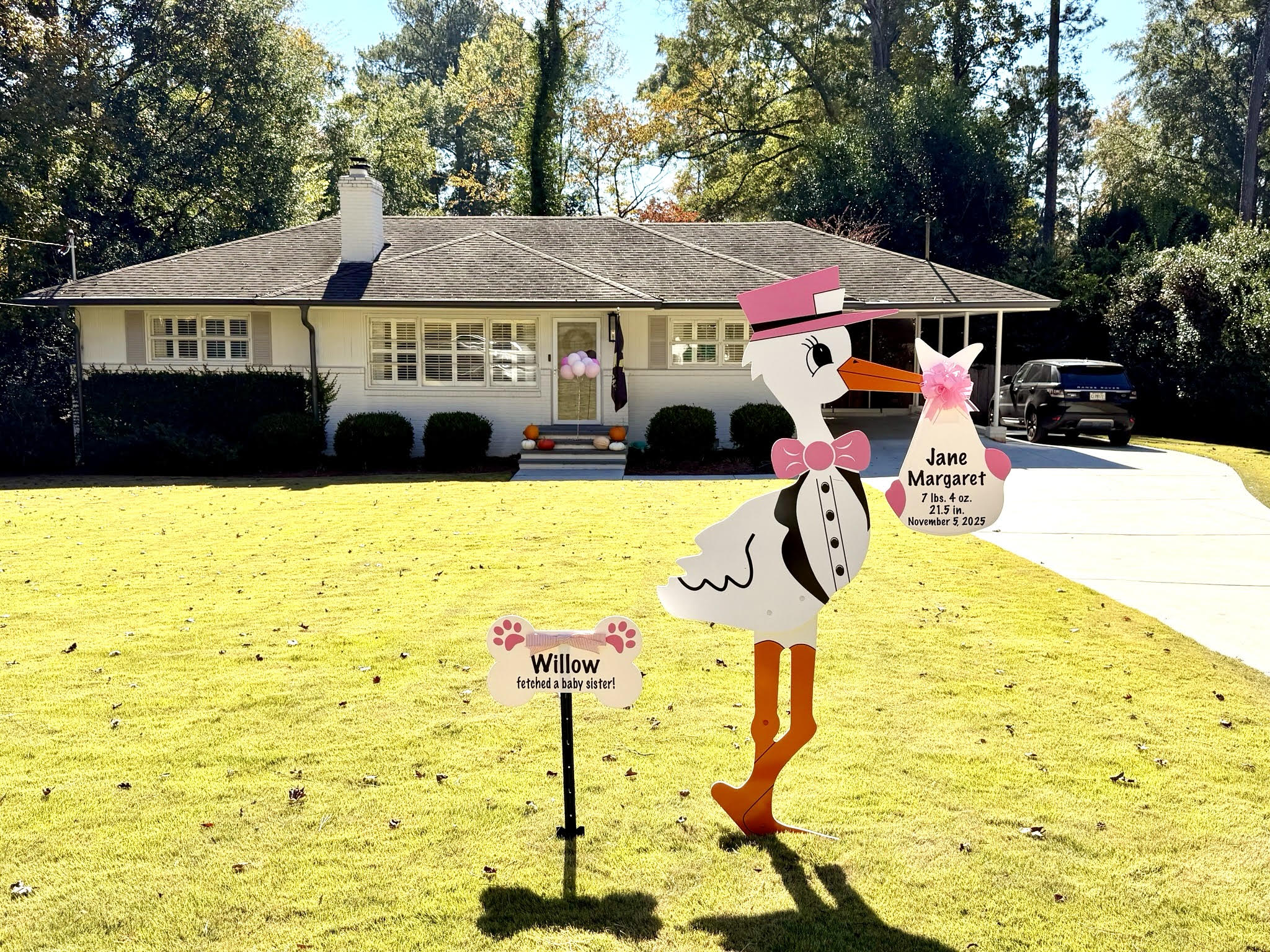 Birth Announcement Stork Sign in Alpharetta, GA