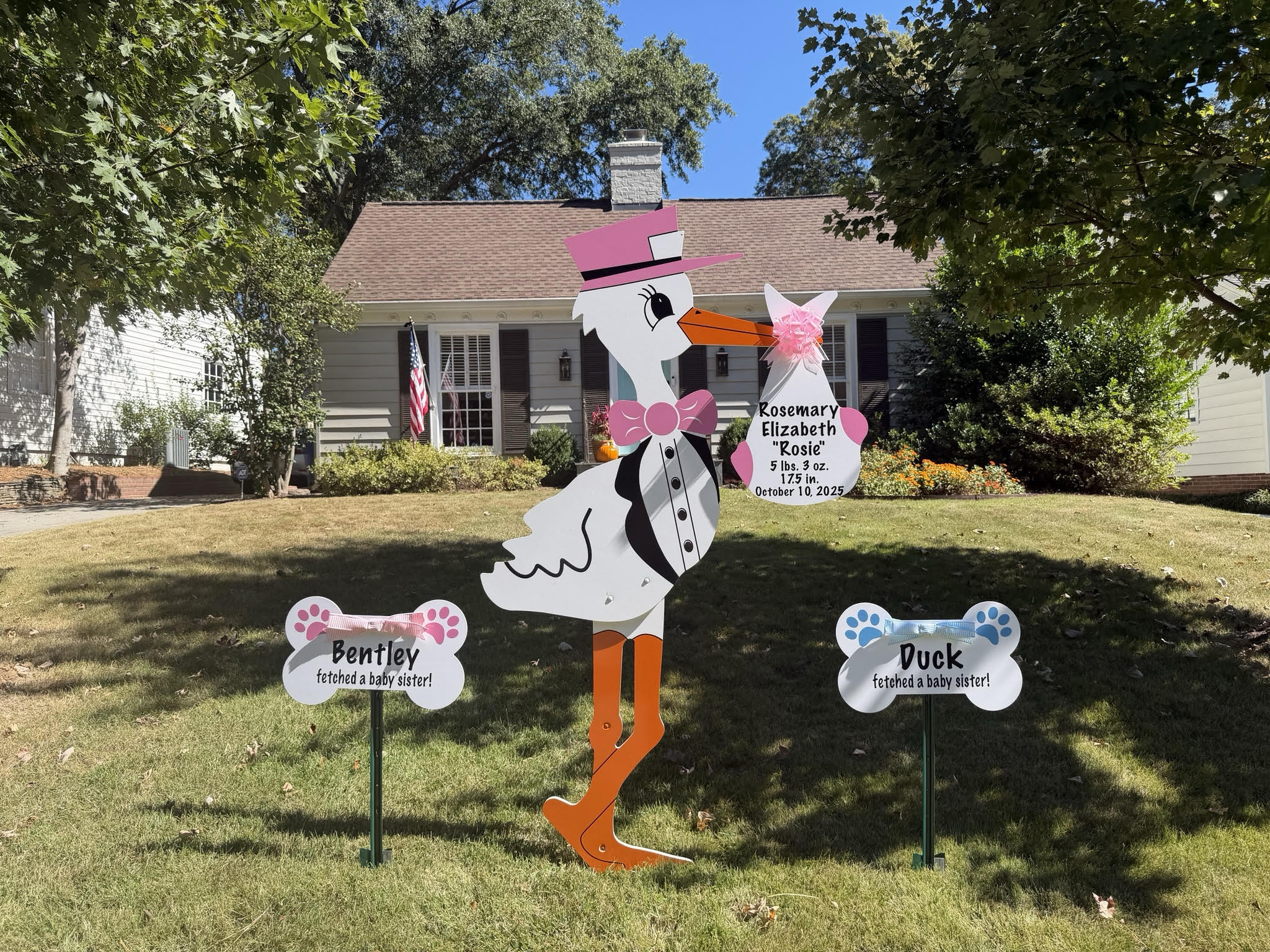 Birth Announcement Stork Sign in Buckhead, Atlanta