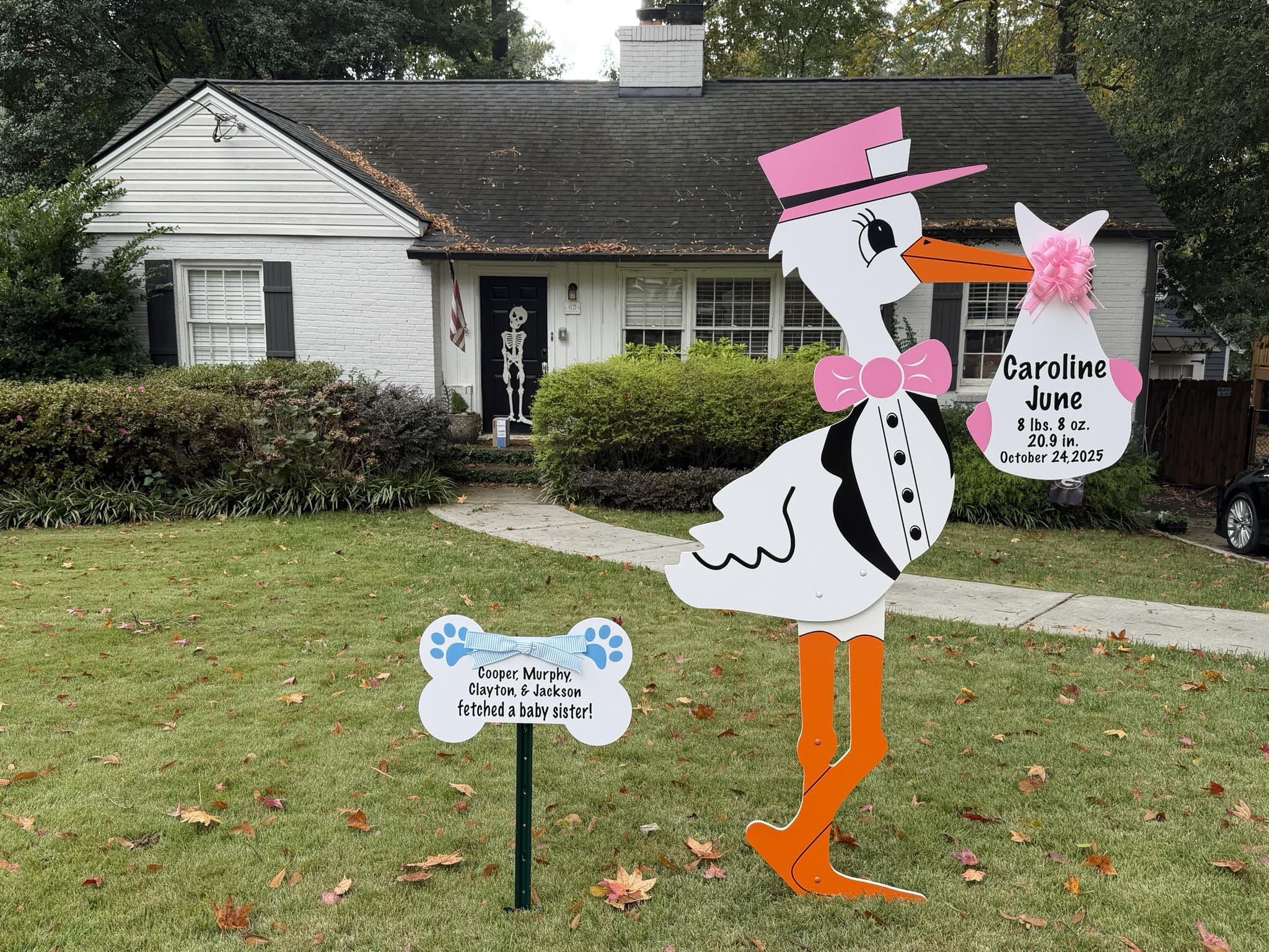 Birth Announcement Stork Sign in Atlanta, GA