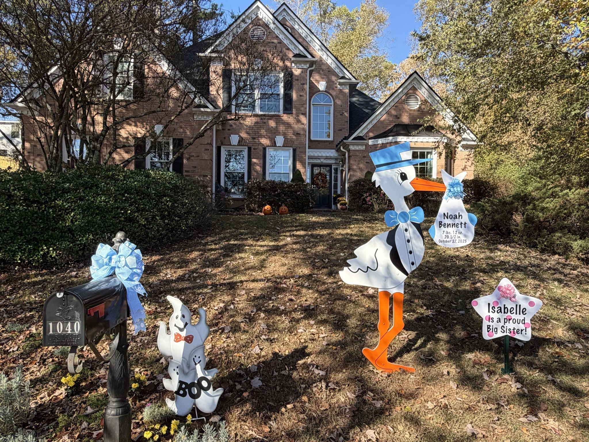 Birth Announcement Stork Sign in Roswell, GA