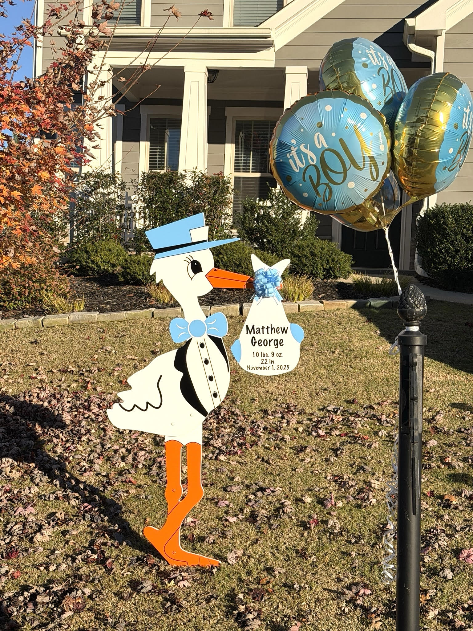 Birth Announcement Stork Sign in Cumming, GA