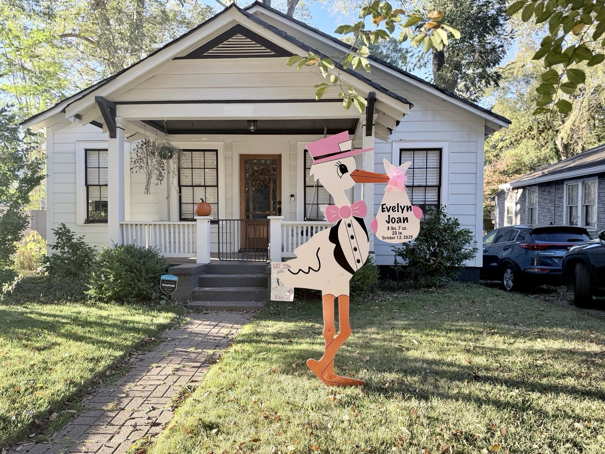 Birth Announcement Stork Sign in Grant Park, Atlanta