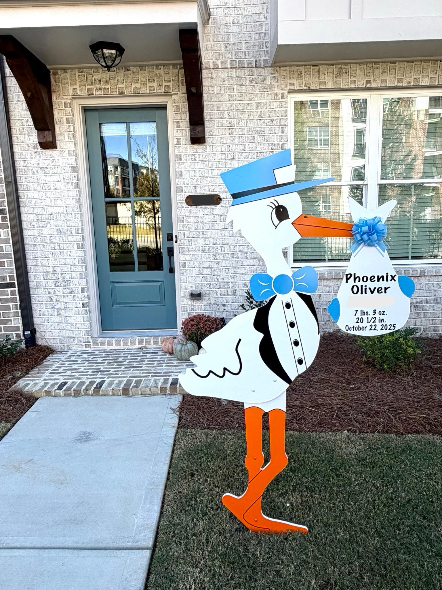 Birth Announcement Stork Sign in Cumming, GA