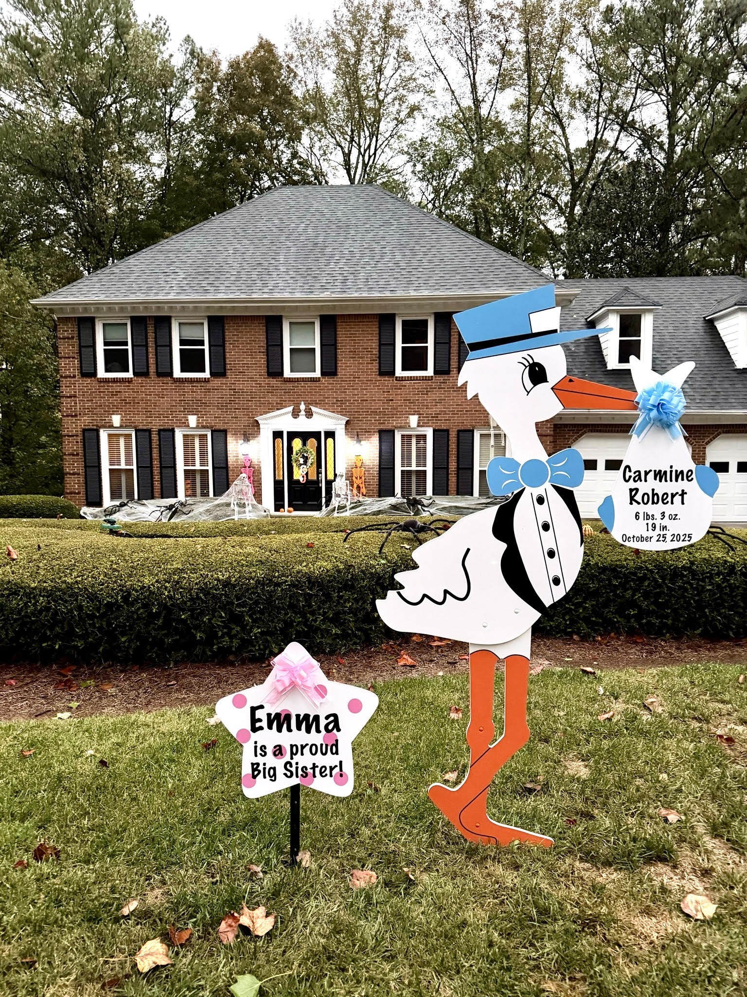 Birth Announcement Stork Sign in Dunwoody, GA