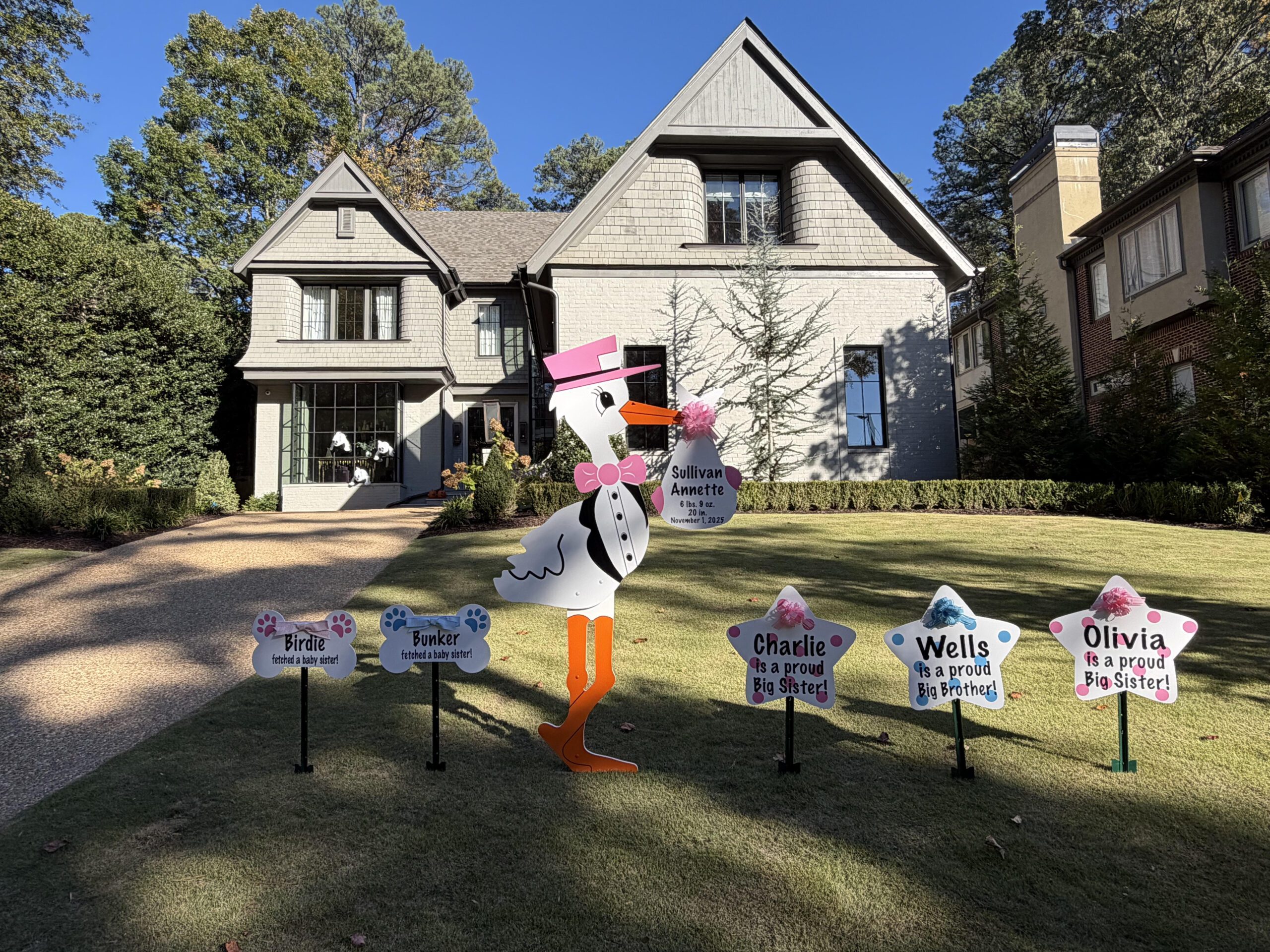 Birth Announcement Stork Sign in Druid Hills, Atlanta