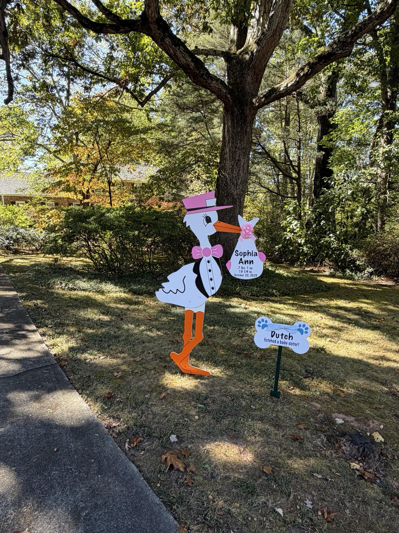 Birth Announcement Stork Sign in Dunwoody, GA