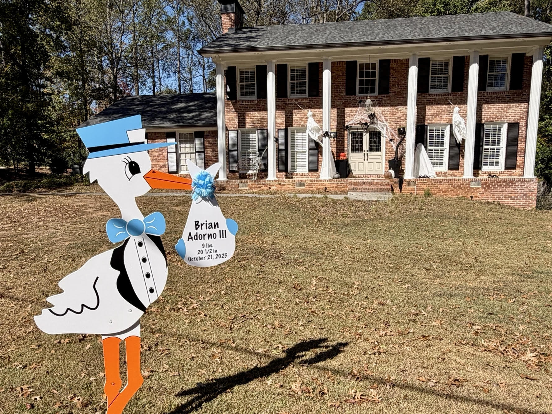 Birth Announcement Stork Sign in Dunwoody, GA