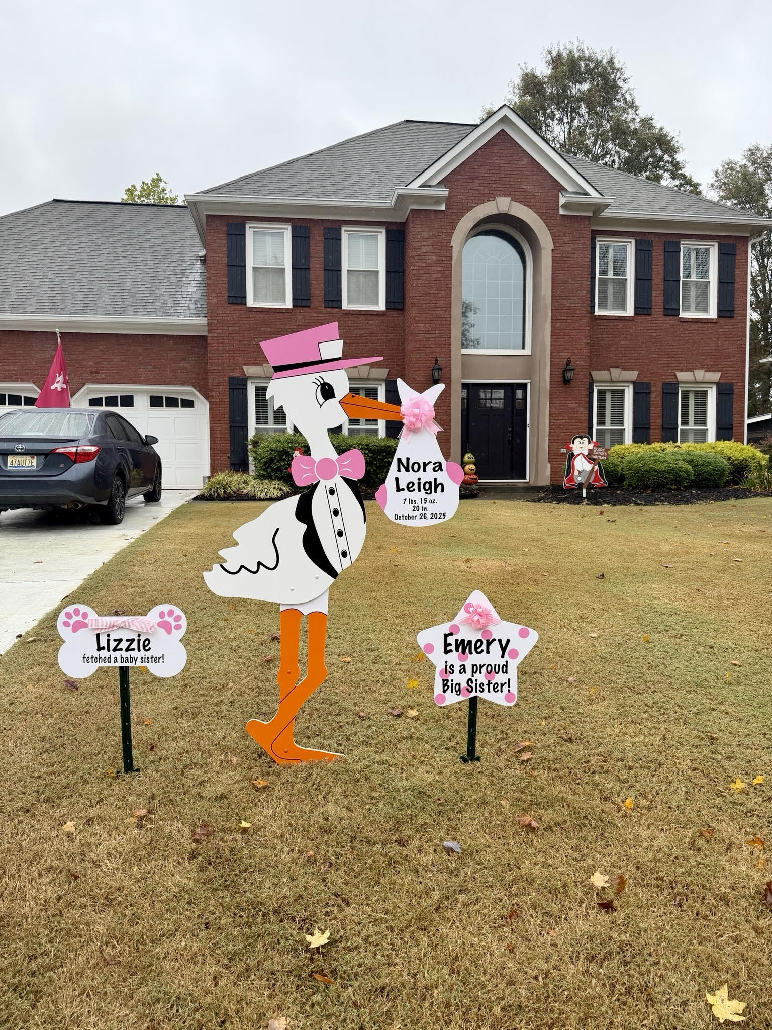 Birth Announcement Stork Sign in Alpharetta, Ga