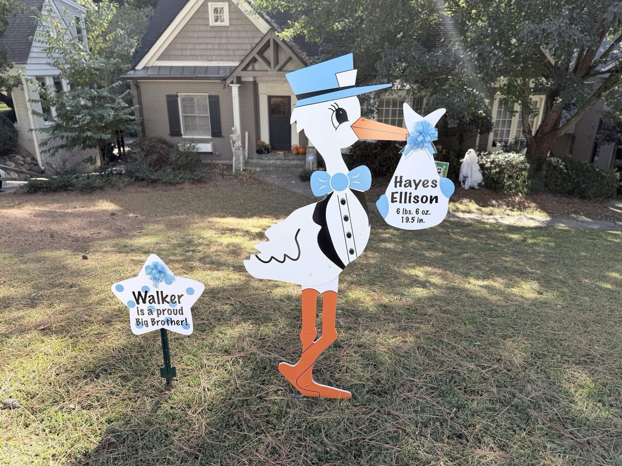 Birth Announcement Stork Sign in Buckhead, Atlanta