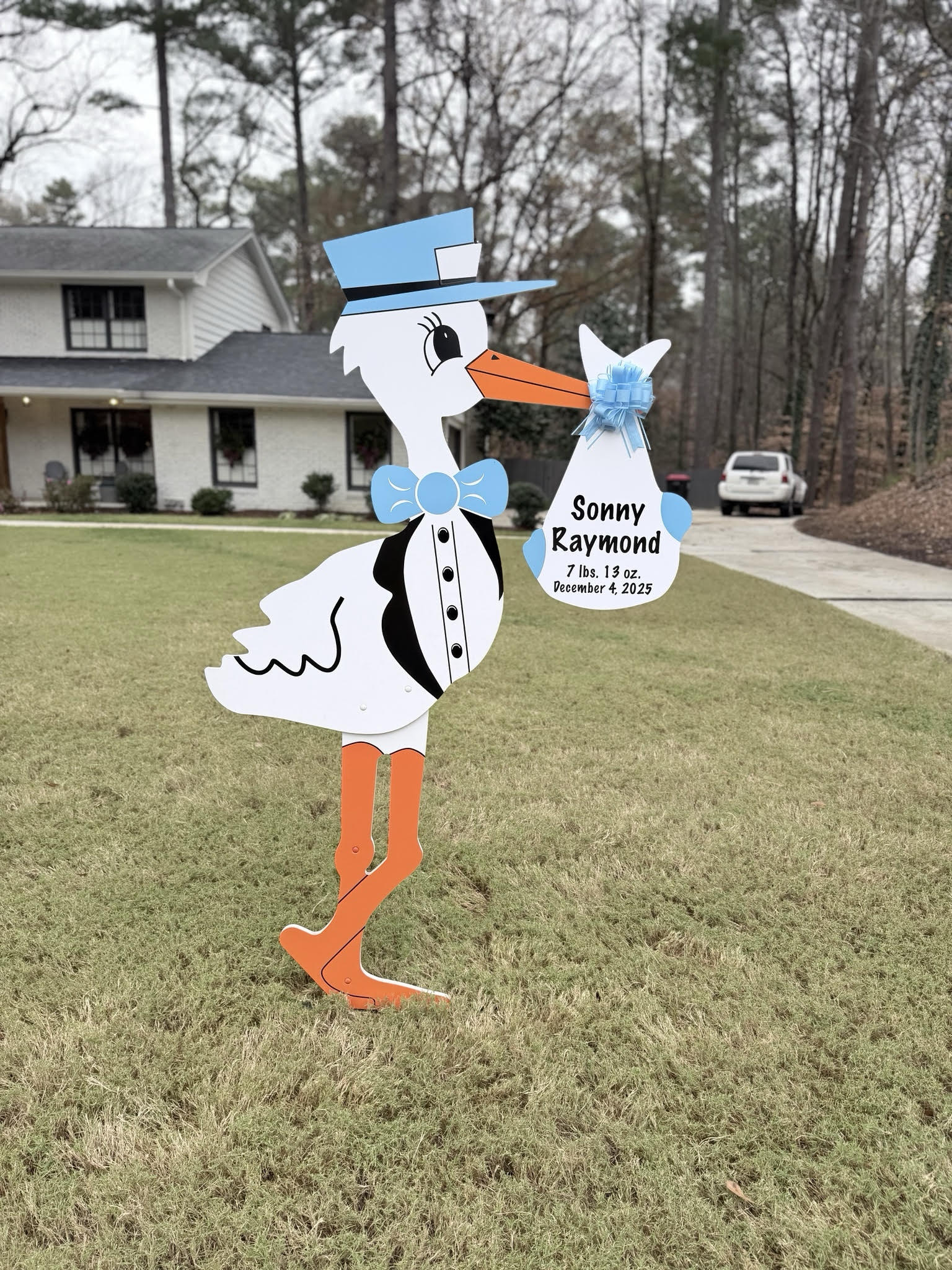Birth Announcement Stork Sign in Vinings, GA