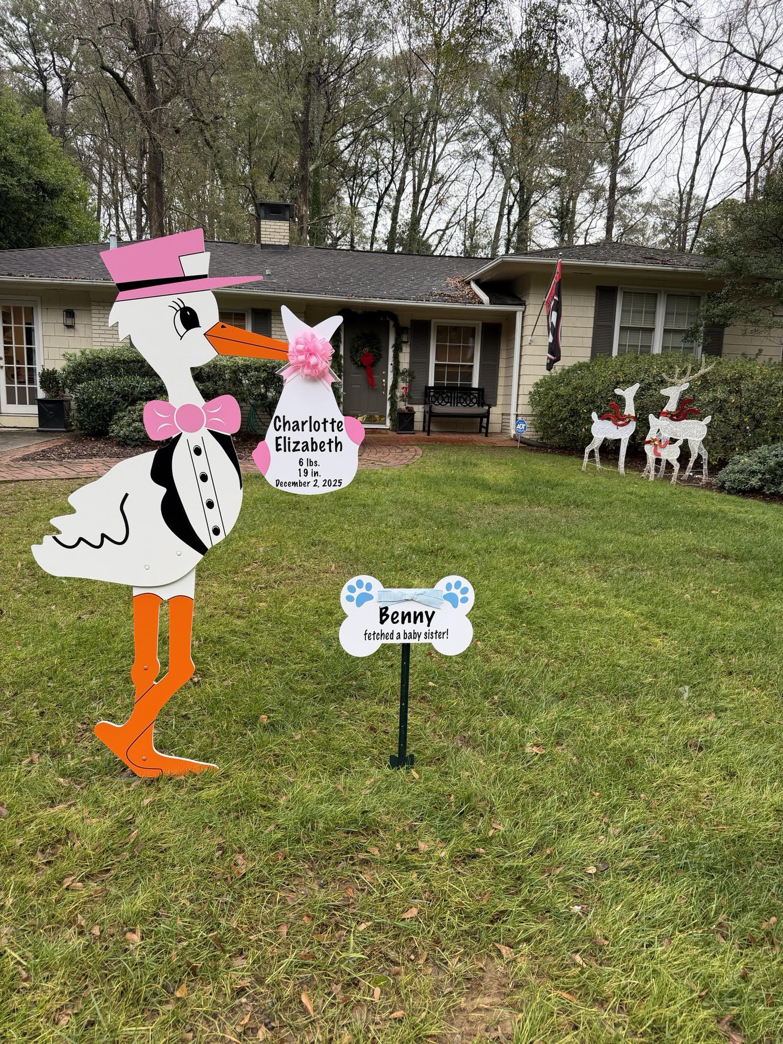 Birth Announcement Stork Sign in West Midtown, Atlanta