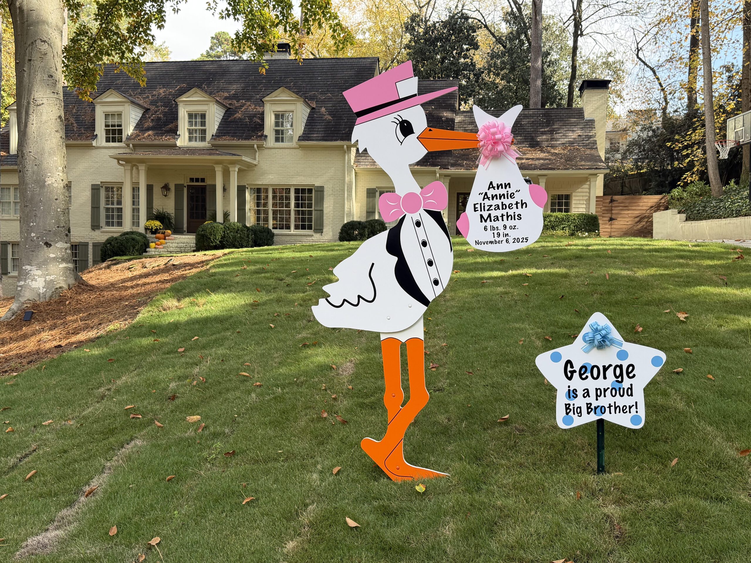 Birth Announcement Stork Sign in Atlanta, GA