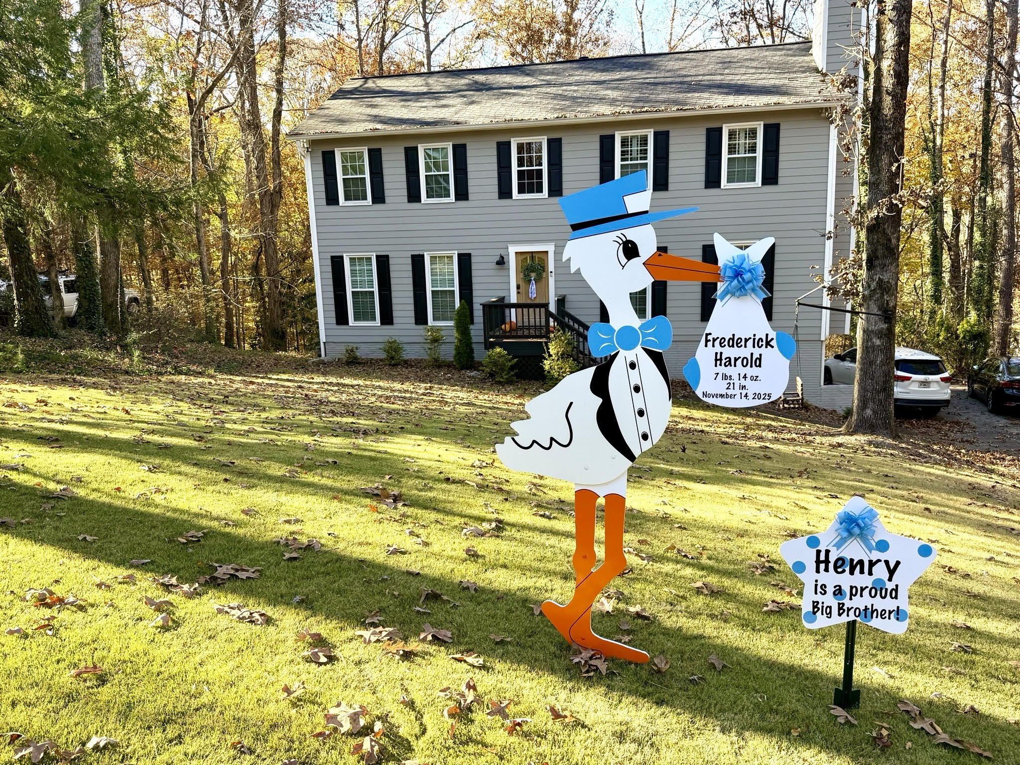 Birth Announcement Stork Sign in Roswell, GA