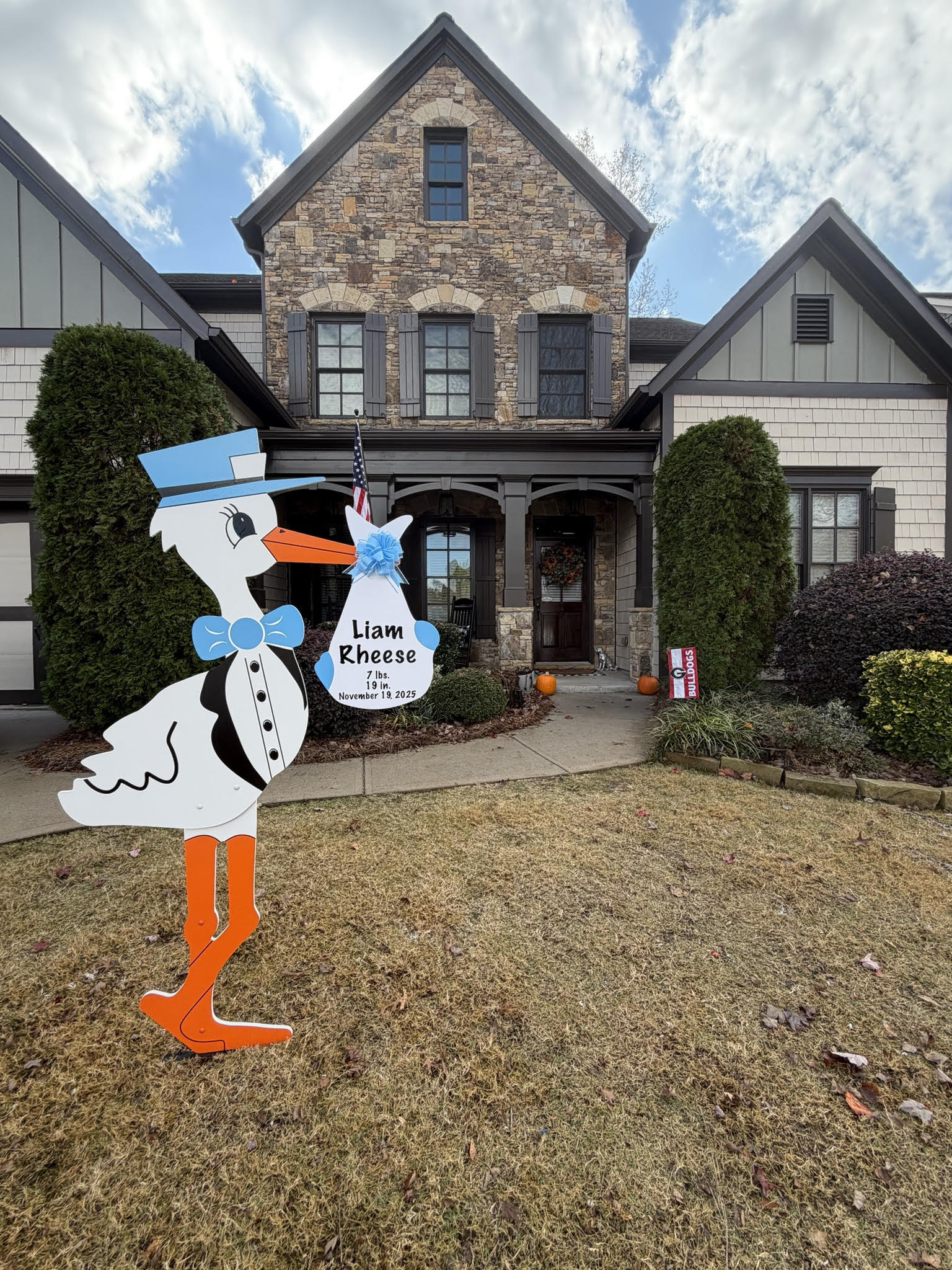 Birth Announcement Stork Sign in Smyrna, GA