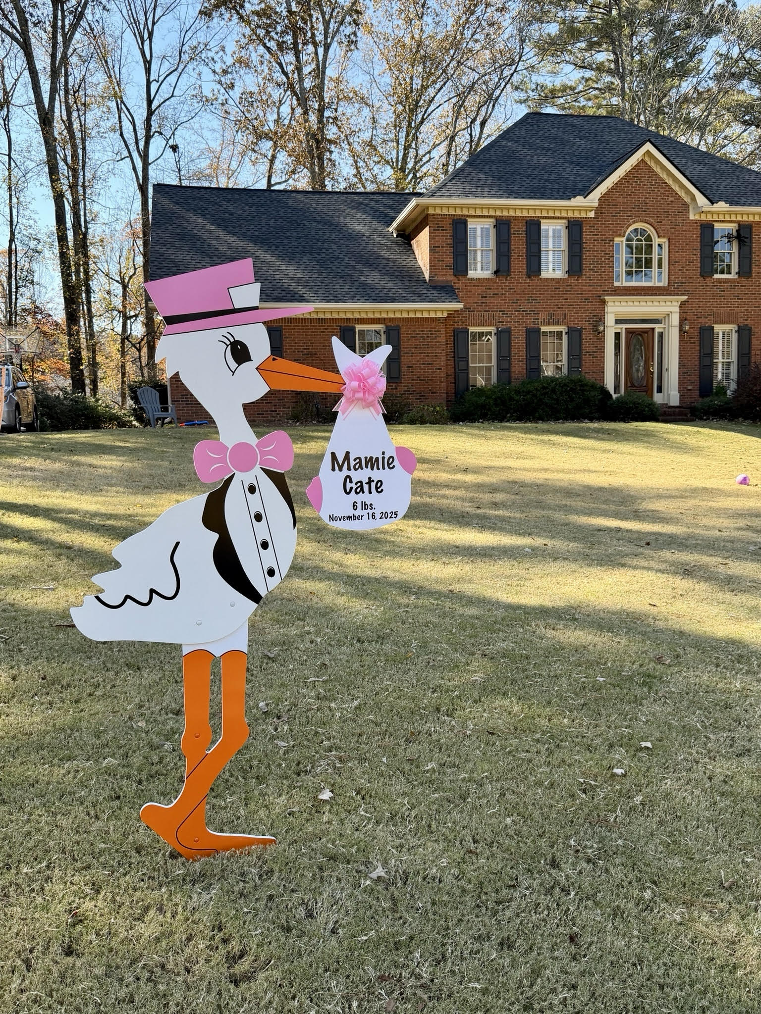 Birth Announcement Stork Sign in Johns Creek, GA