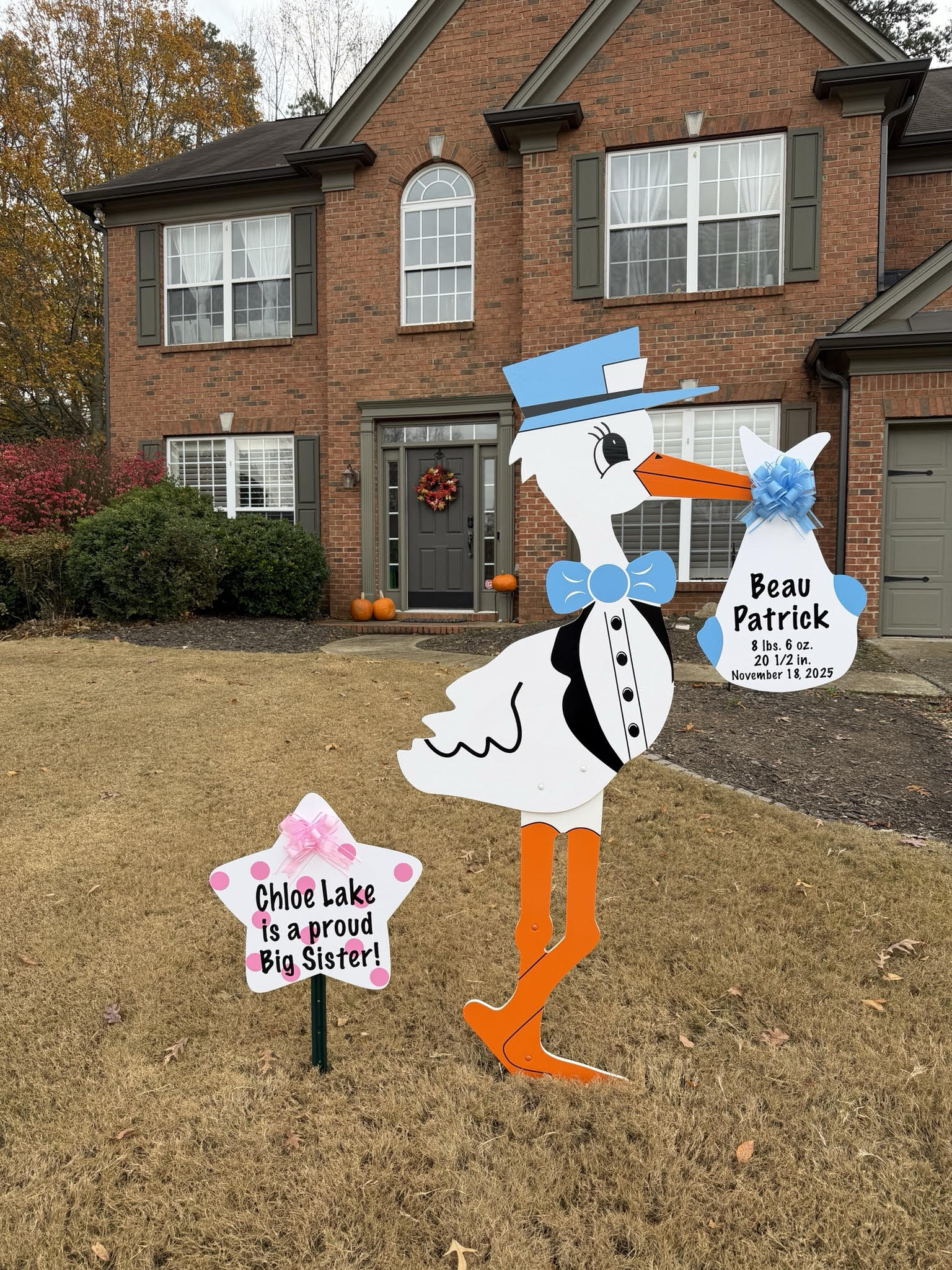 Birth Announcement Stork Sign in Cumming, GA