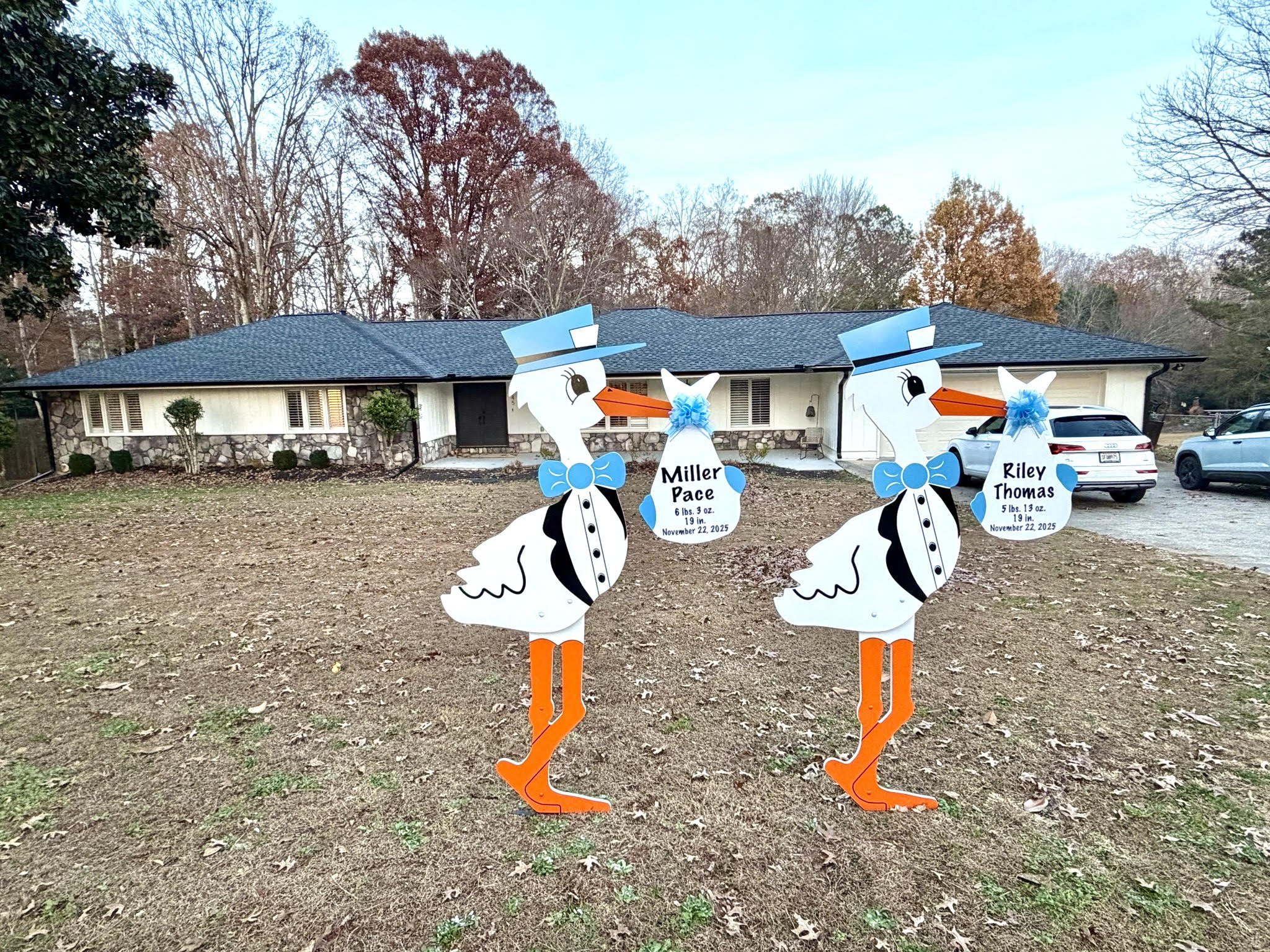 Birth Announcement Stork Sign in Roswell, GA