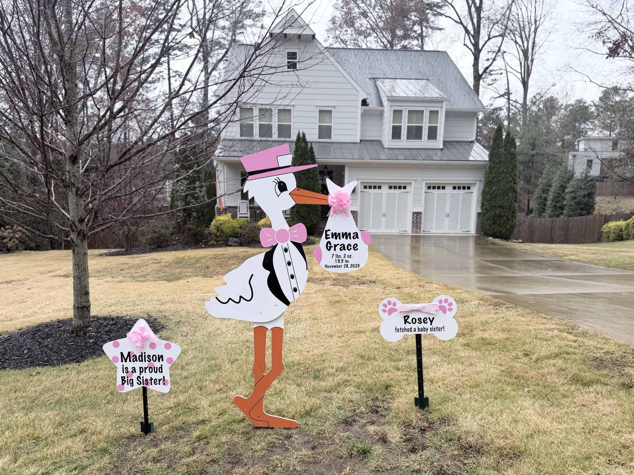 Birth Announcement Stork Sign in Brookhaven, GA