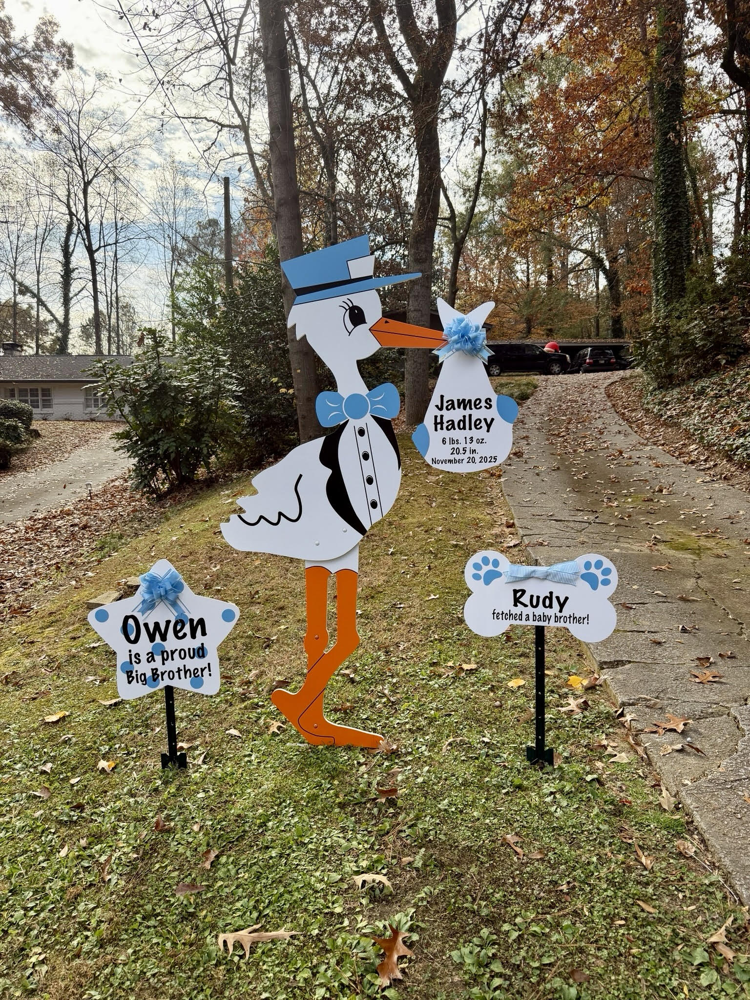 Birth Announcement Stork Sign in Sandy Springs, GA