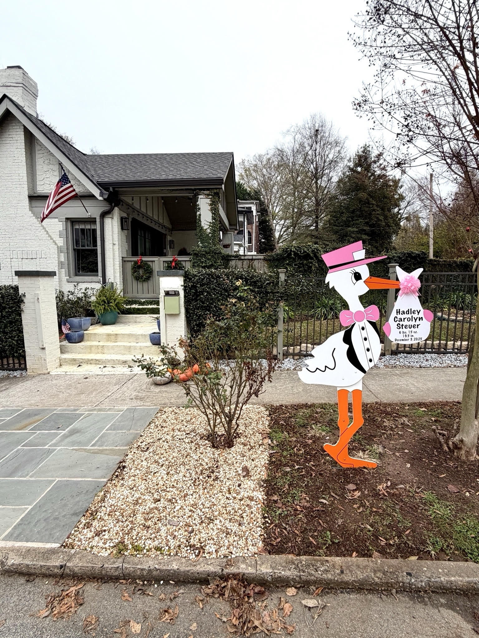 Birth Announcement Stork Sign in Atlanta, GA