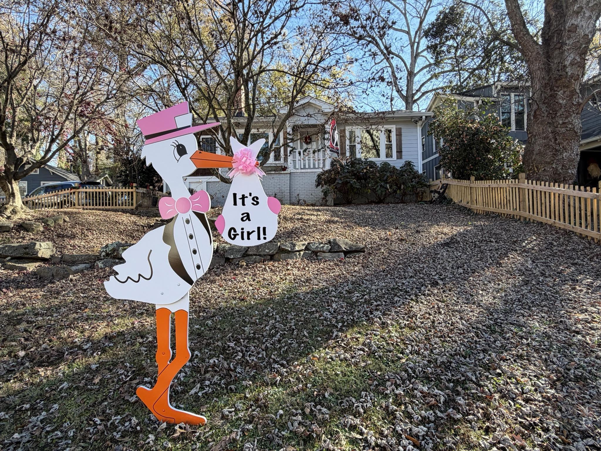 Birth Announcement Stork Sign in Buckhead, Atlanta