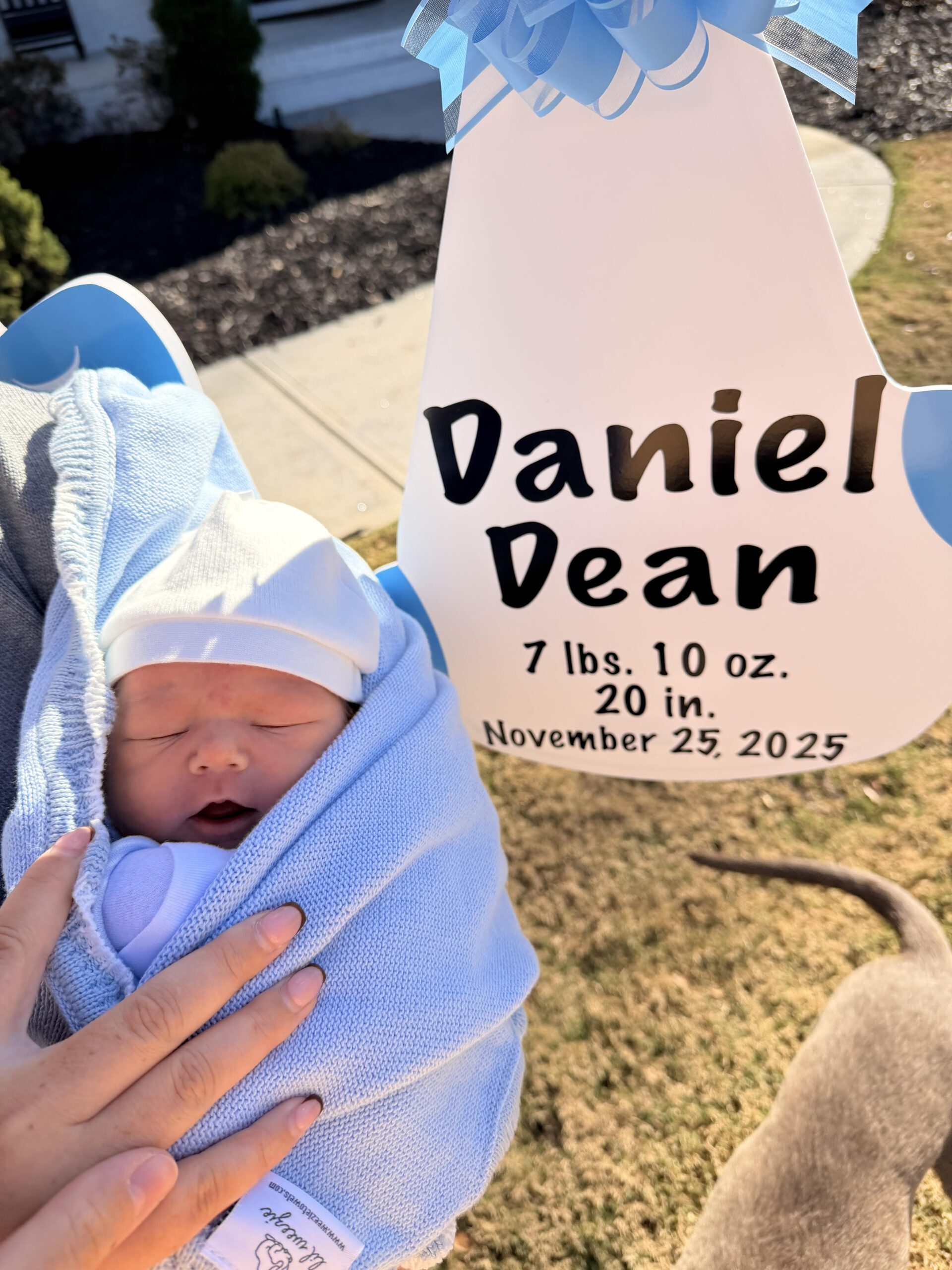 Birth Announcement Stork Sign in Cumming, GA