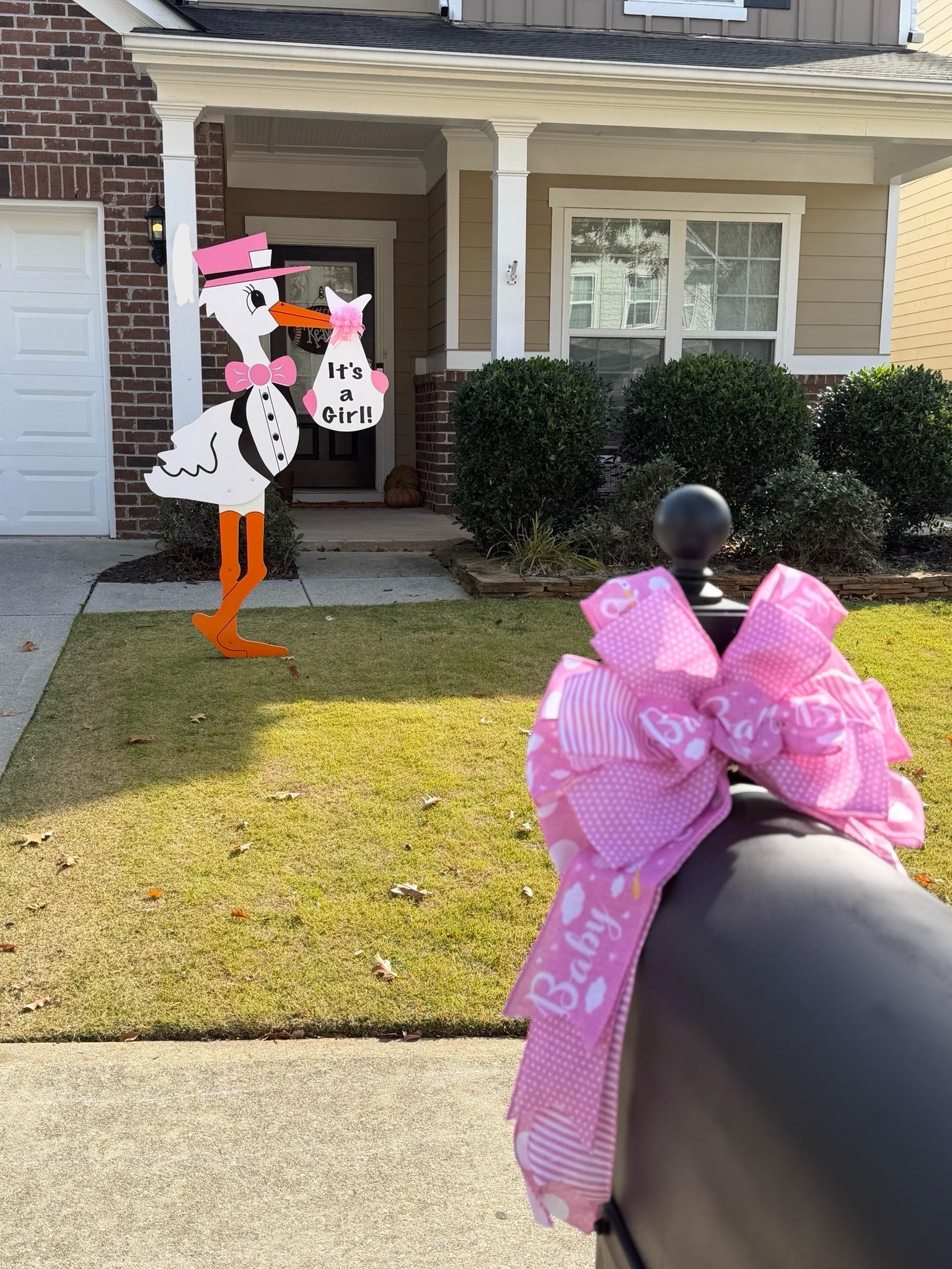 Birth Announcement Stork Sign in Canton, GA!