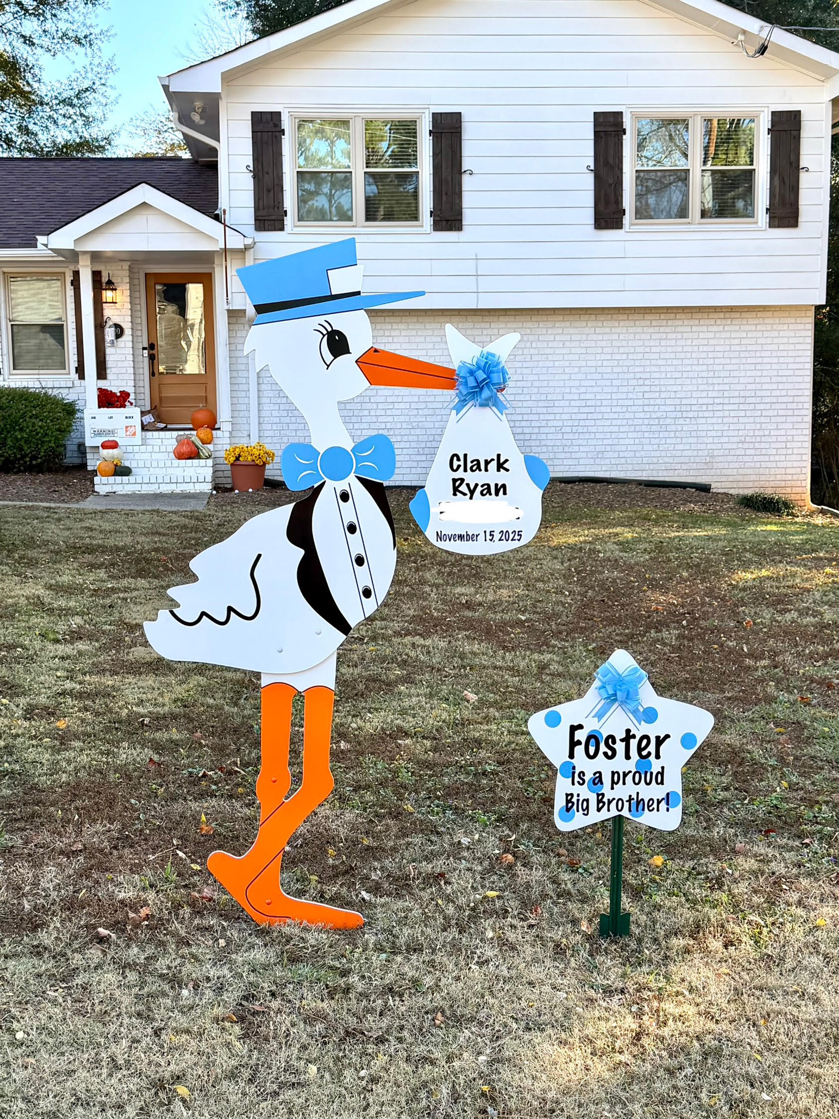 Birth Announcement Stork Sign in Roswell, GA