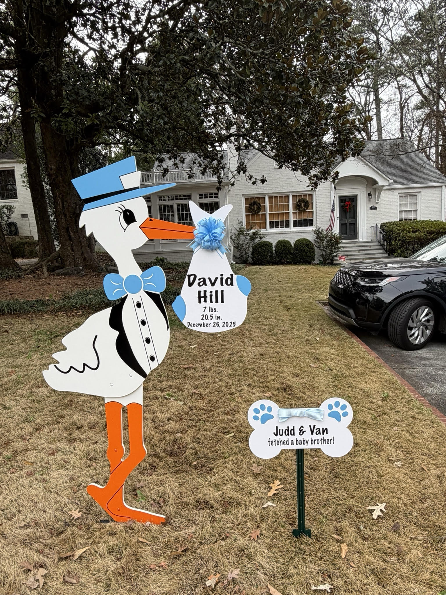 Birth Announcement Stork Sign in Atlanta, GA