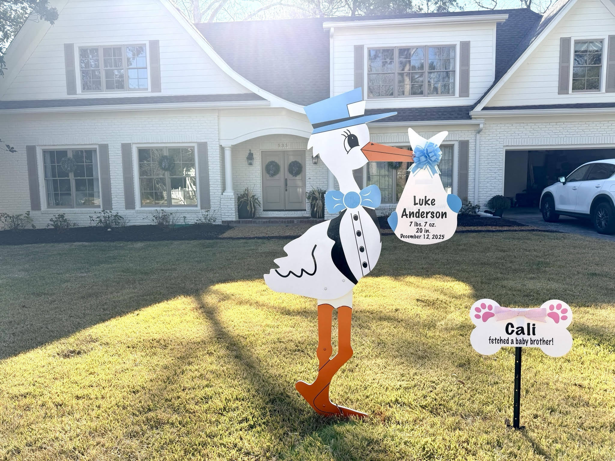 Birth Announcement Stork Sign in Buckhead, Atlanta