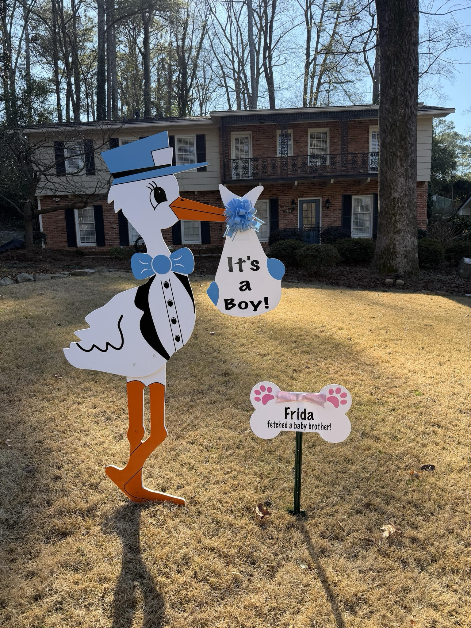 Birth Announcement Stork Sign in Decatur, GA