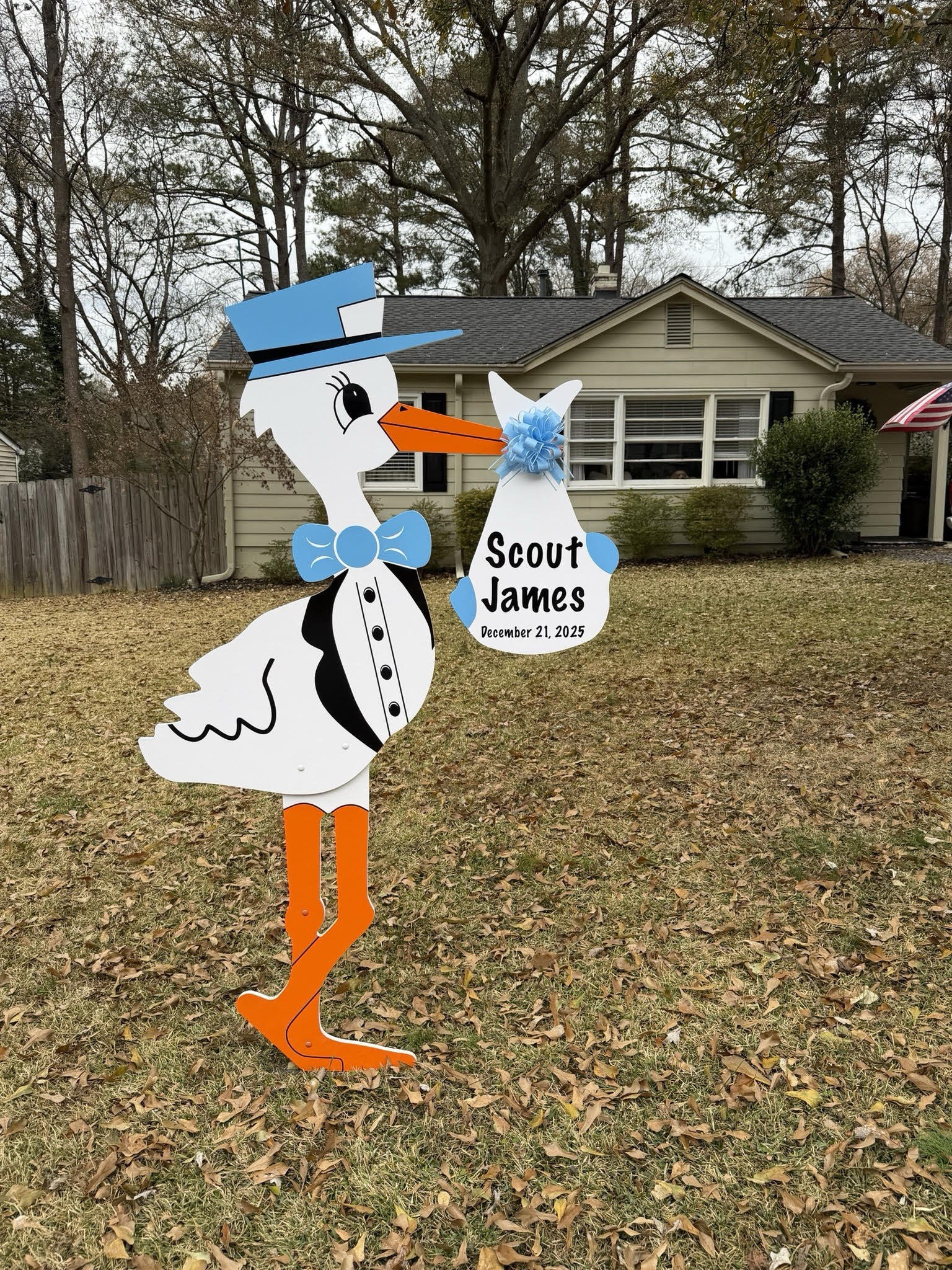 Birth Announcement Stork Sign in Midtown, Atlanta