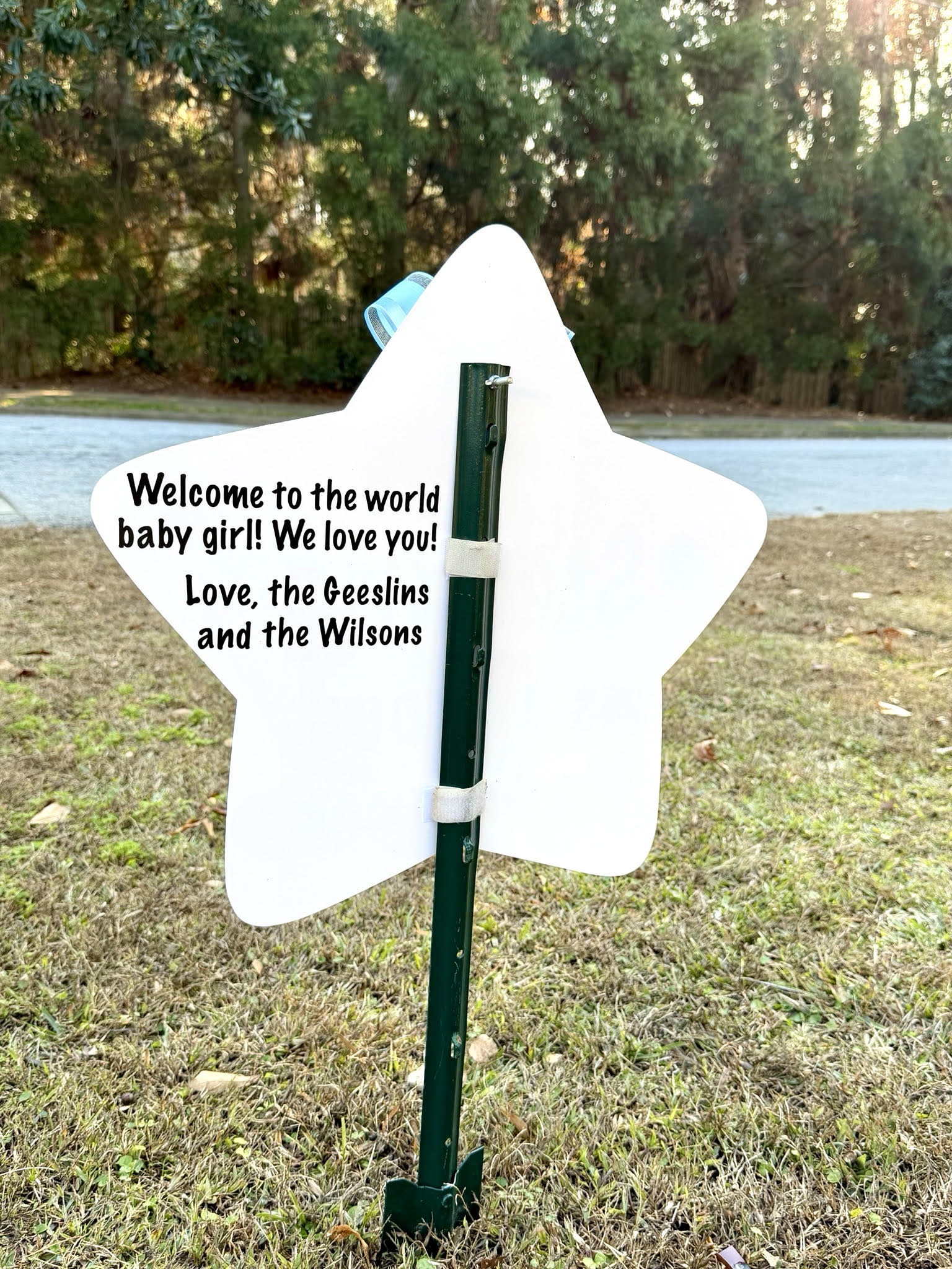 Birth Announcement Stork Sign in Midtown, Atlanta